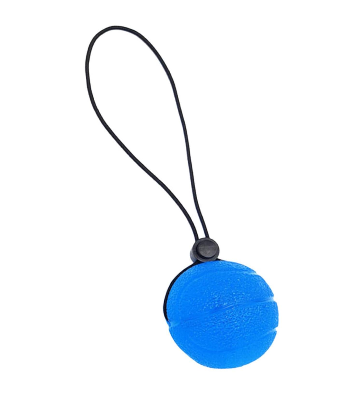 FRCOLOR Hand Grip Ball - Finger Strength Trainer Squeezeball for Exercise & Gym | 20x5cm Blue - Buy Online on GoSupps.com