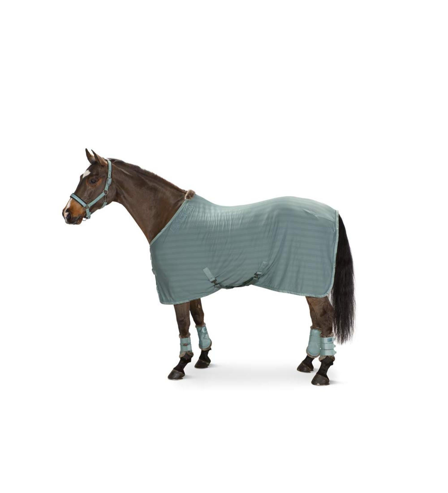 Eskadron flying corner cool S21 XL