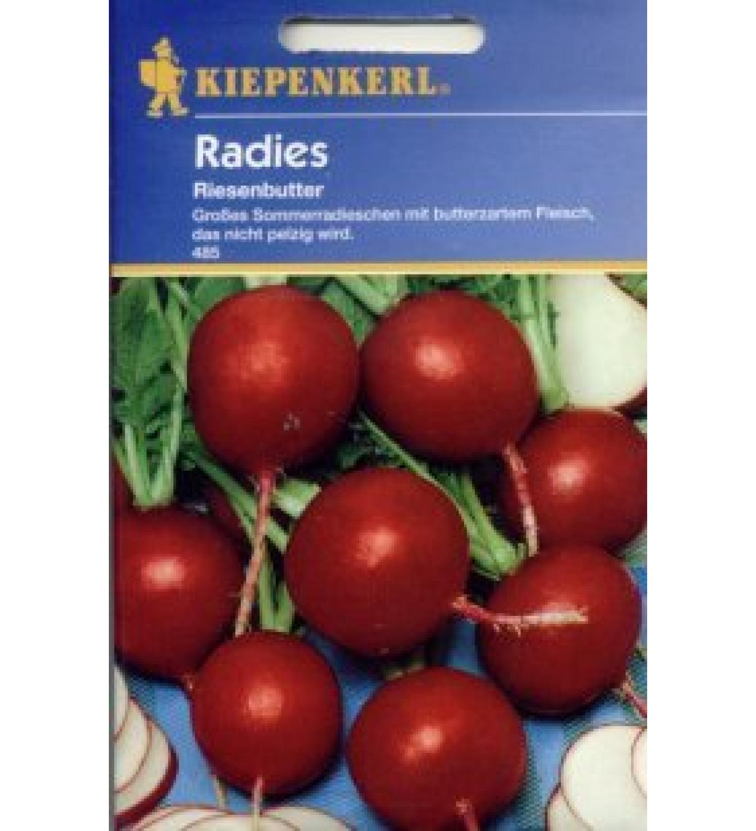 Radies Beurre g ant (485)