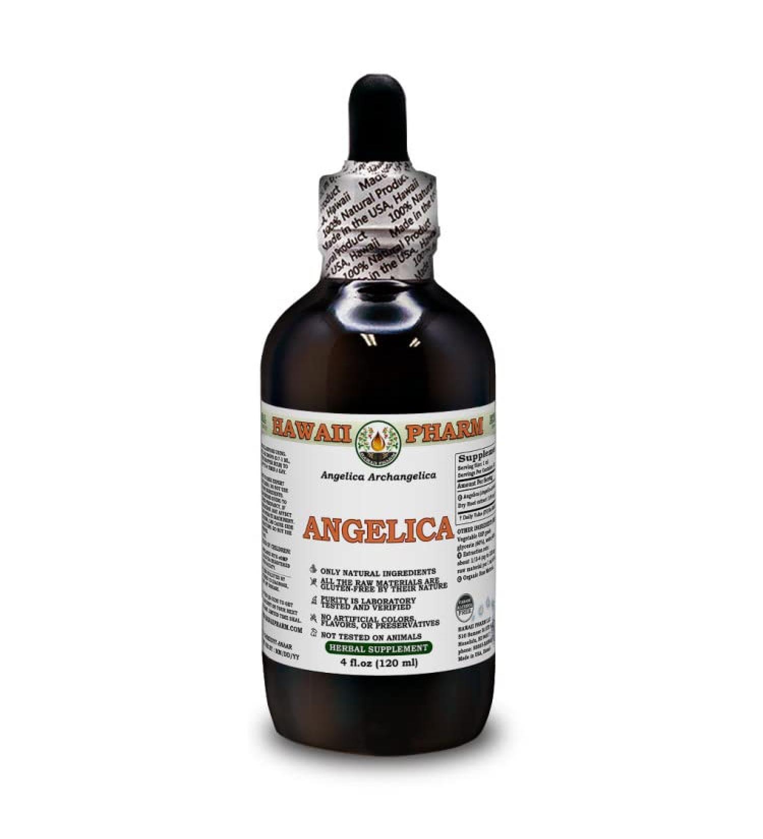 Hawaii Pharm Europe Angelica (Angelica Archangelica) Powdered Root Alcohol-Free Liquid Extract Glycerite 120 ml 120 ml (Pack of 1)