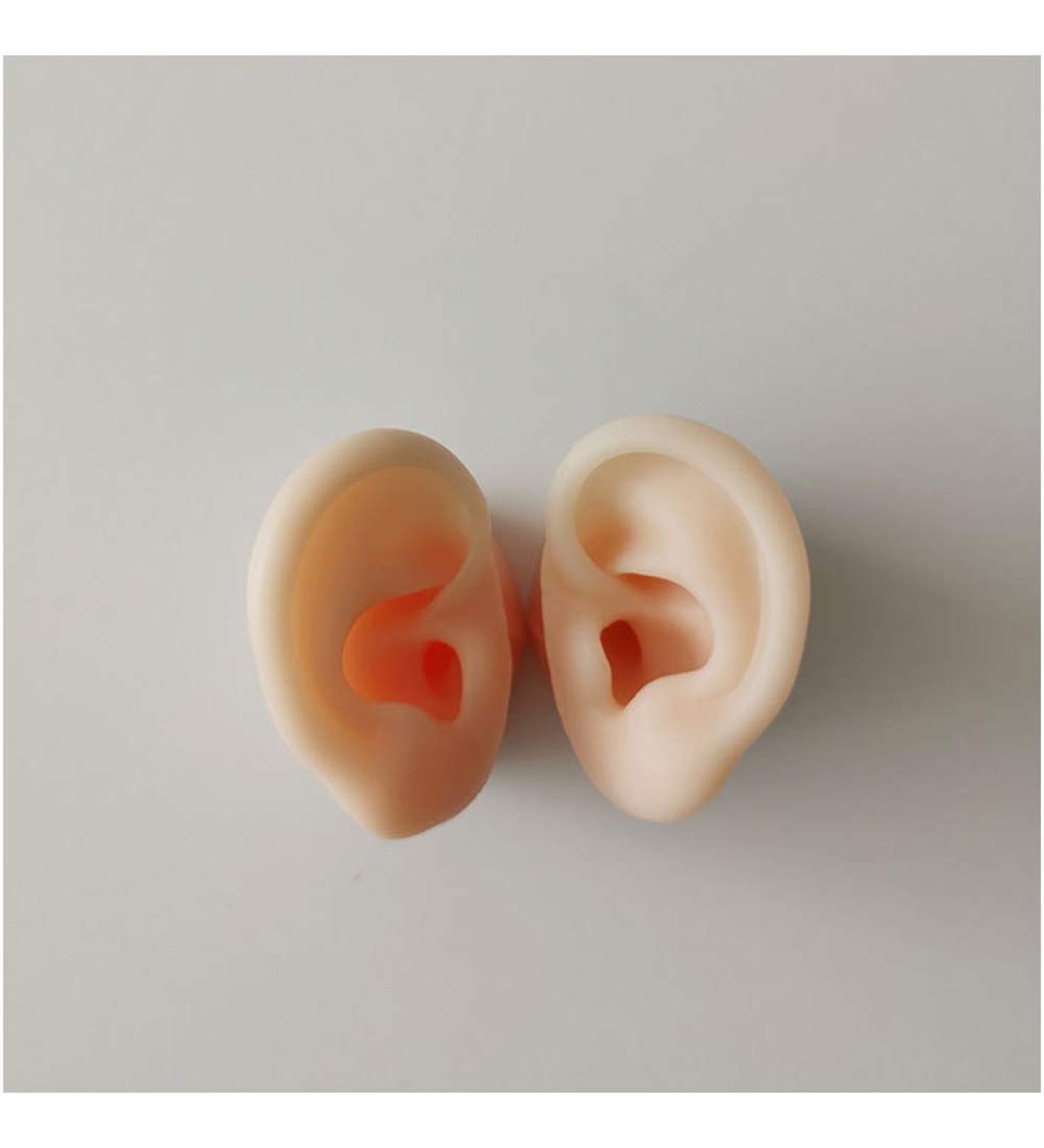 Soft Silicone Artificial Ear Model - Artificial Simulation Human Ear for Acupuncture Piercing Practice - Simulation Ear Model - for Ear Picking Practice Studs Earring Display Props - Buy Online on GoSupps.com