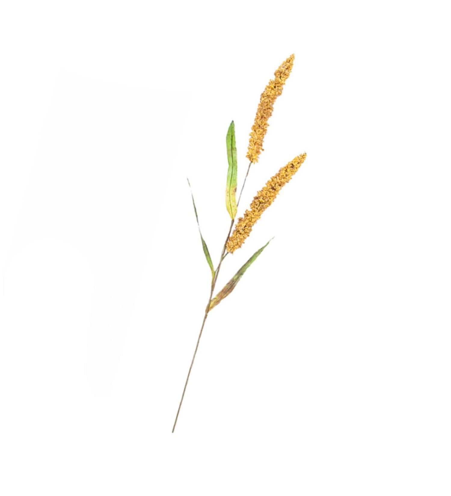 DECHOUS Simulated Ears of Corn Dry Flowers for Decoration Wheat Sheave Bundle Flower Fake Wheat Stalks Decoration for Home Decor for Home Artificial Plants Faux Plant Straw Manual Pu Golden 12X75CM - Buy Online on GoSupps.com