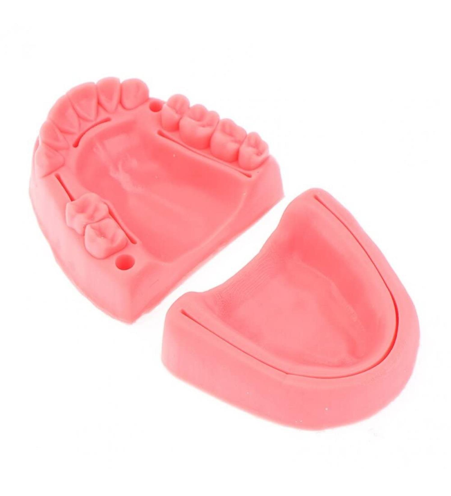 Ericeion 2PC Dental Seam Practice Model | 3-in-1 Oral Seam Lessons | Soft Silicone Wound & Gingival Training Tools for Dental Students - Buy Online on GoSupps.com