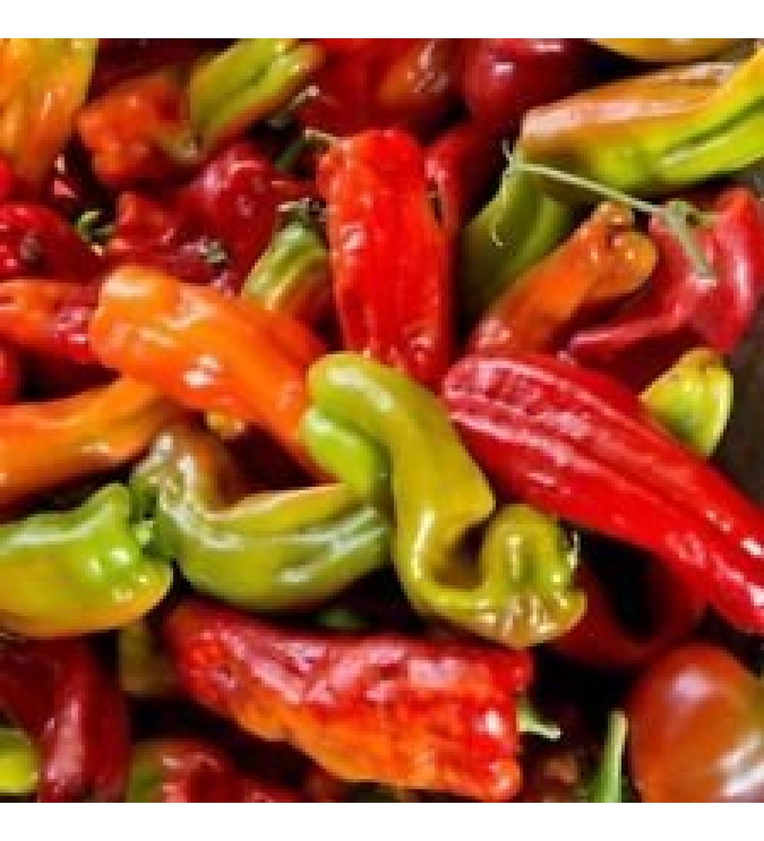 Semi Anaheim Cile Hot Pepper Non OGM Variet Taglie peperoncino (1000)