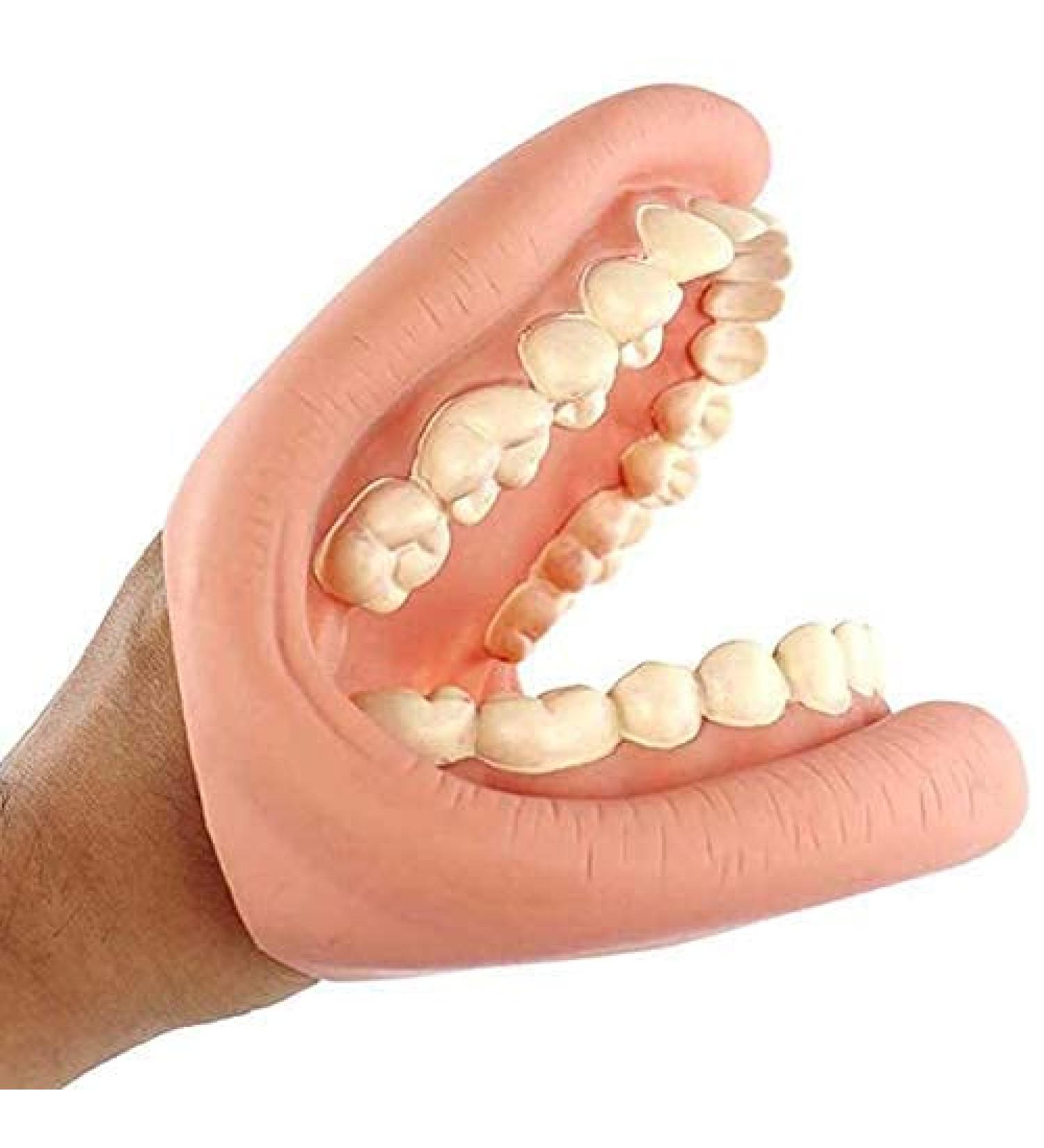 Dental Care Model for Kids | Tooth Brushing Practice & Teaching Aid - International Shipping - Buy Online on GoSupps.com