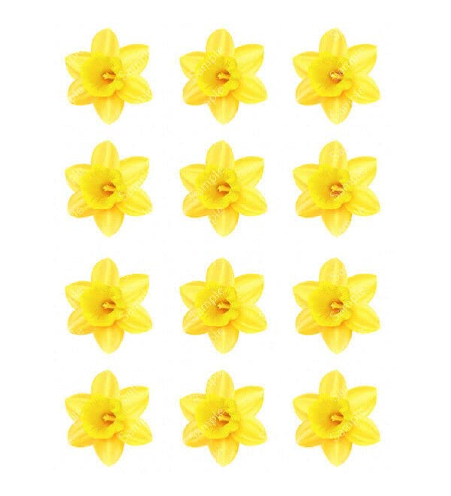 12 x PRECUT DAFFODIL EDIBLE WAFER CUPCAKE TOPPERS CAKE DECORATION