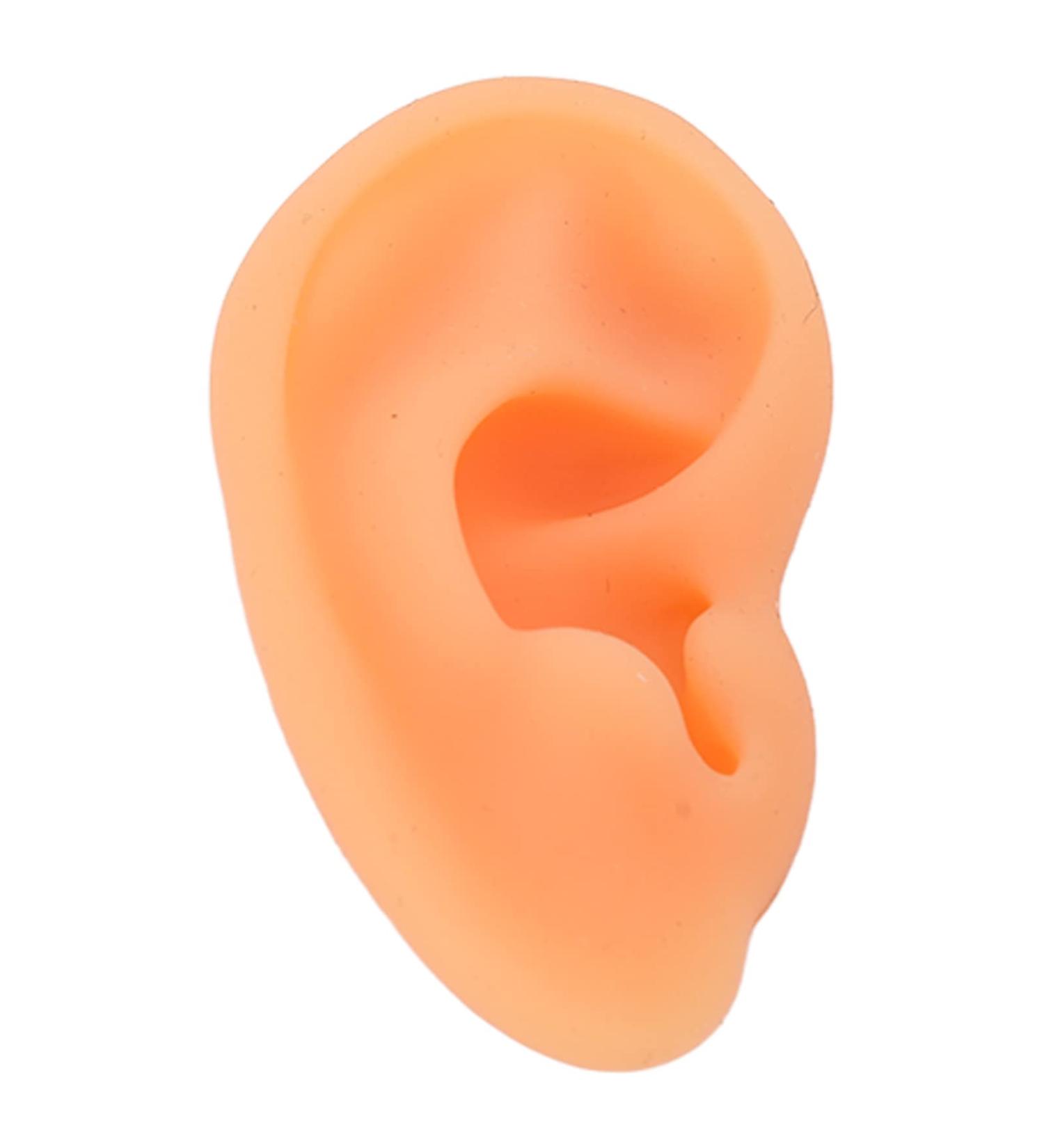 Soft Lifelike Silicone Flexible Left Ear Display Mould for Hospitals - Buy Online on GoSupps.com