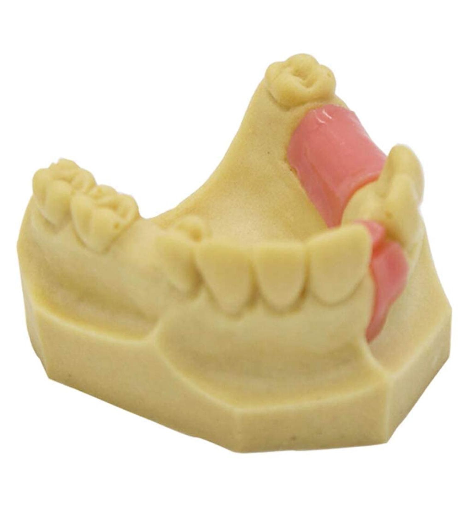 Denture Repair Resin - Medical Training Aid for Dental Education & Planting Training - Buy Online on GoSupps.com