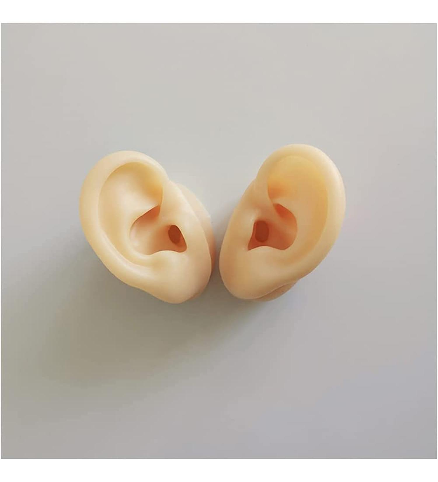 Silicone Ear Model - Simulation Human Body Part Silicone Model Artificial Ear Model - 1:1 Human Ear Model Simulation Display Props Teaching Tool Jewelry Display Earrings - Buy Online on GoSupps.com