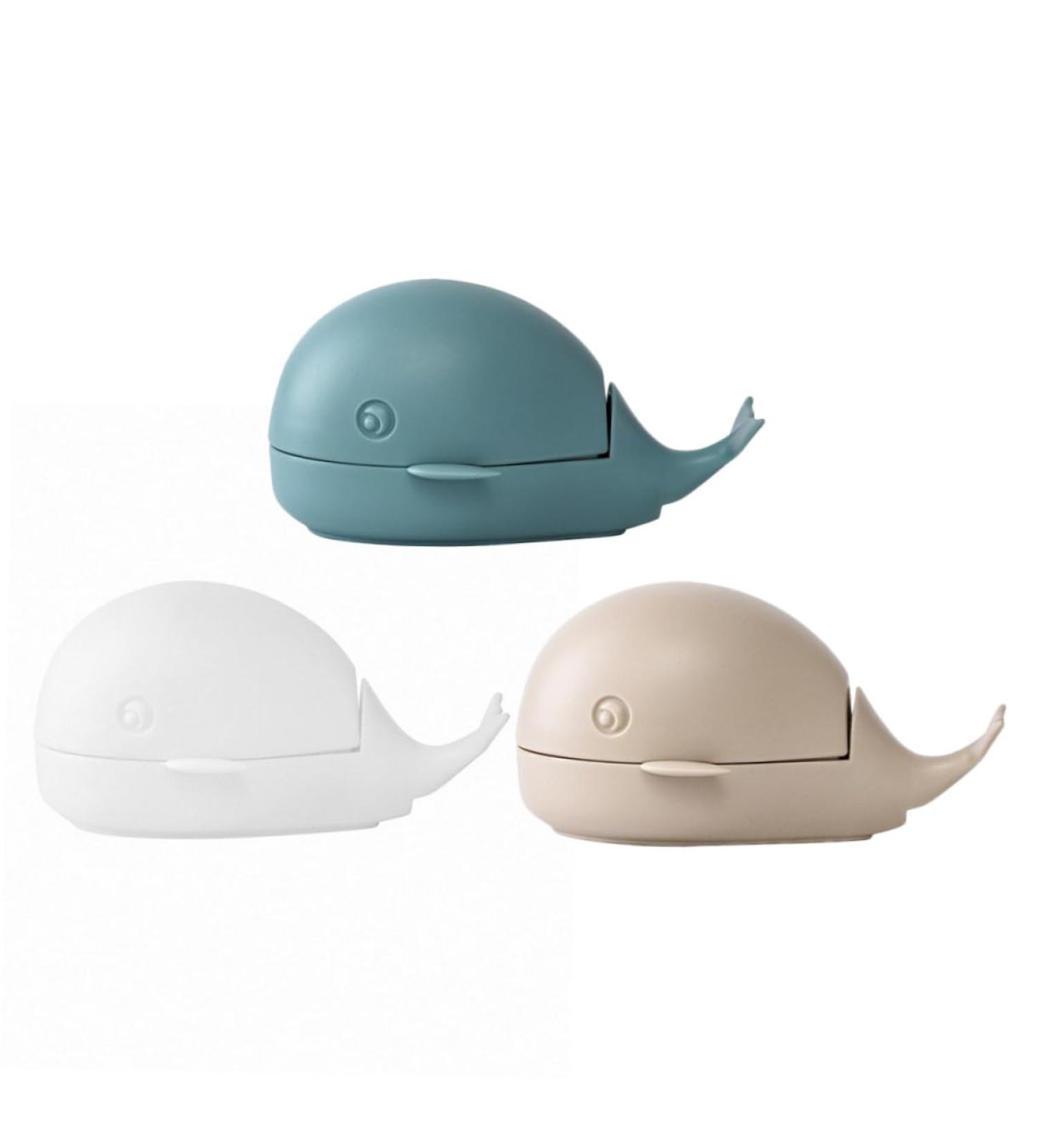 Solustre 3-Pack Laundry Shoe Brushes | Household Washing & Cleaning Brushes for Effective Dishwear Care - Buy Online on GoSupps.com