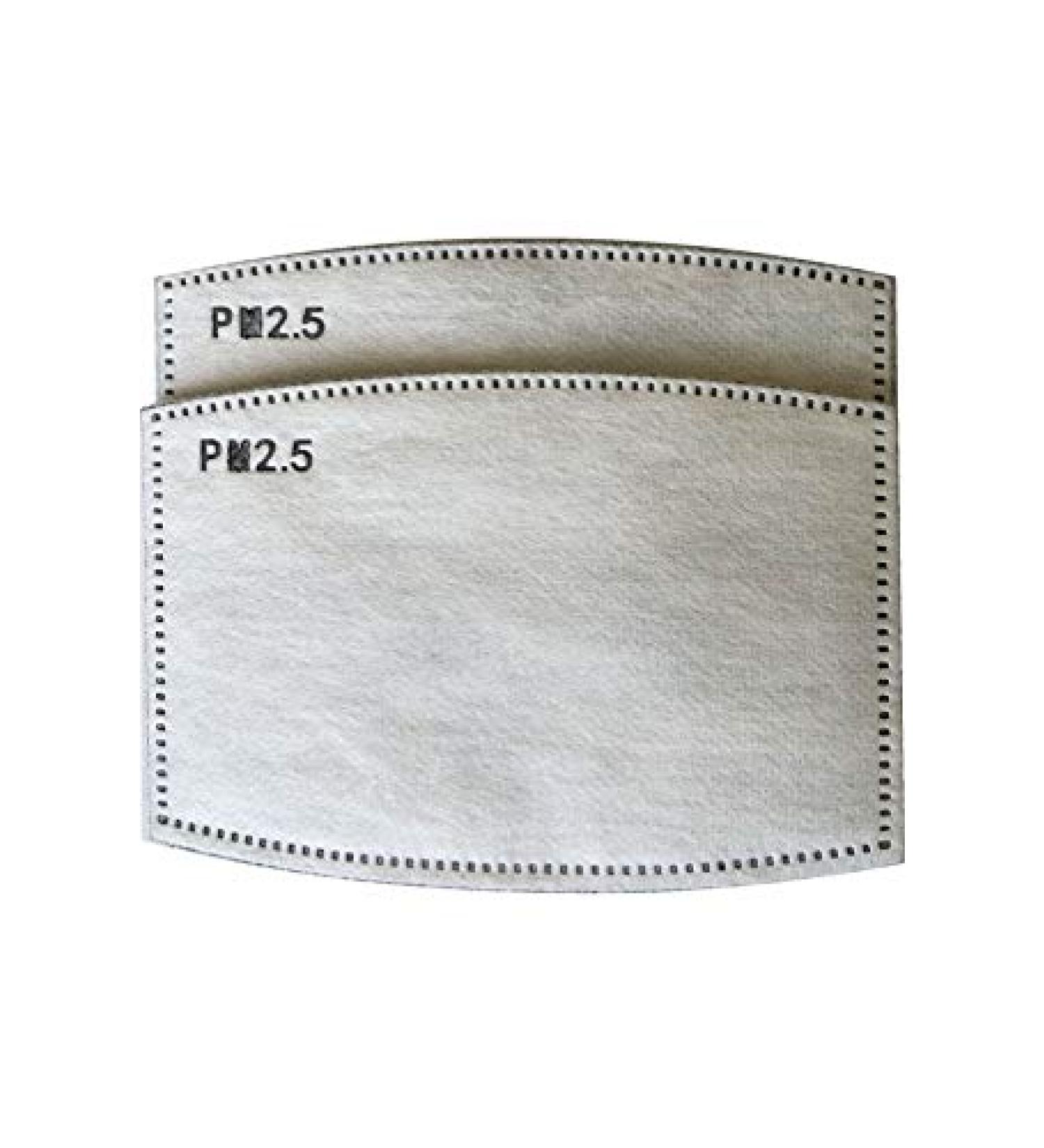 PM2.5 FILTER ACTIVATED CARBON FILTER REPLACEABLE ANTI HAZE FILTERS (30)