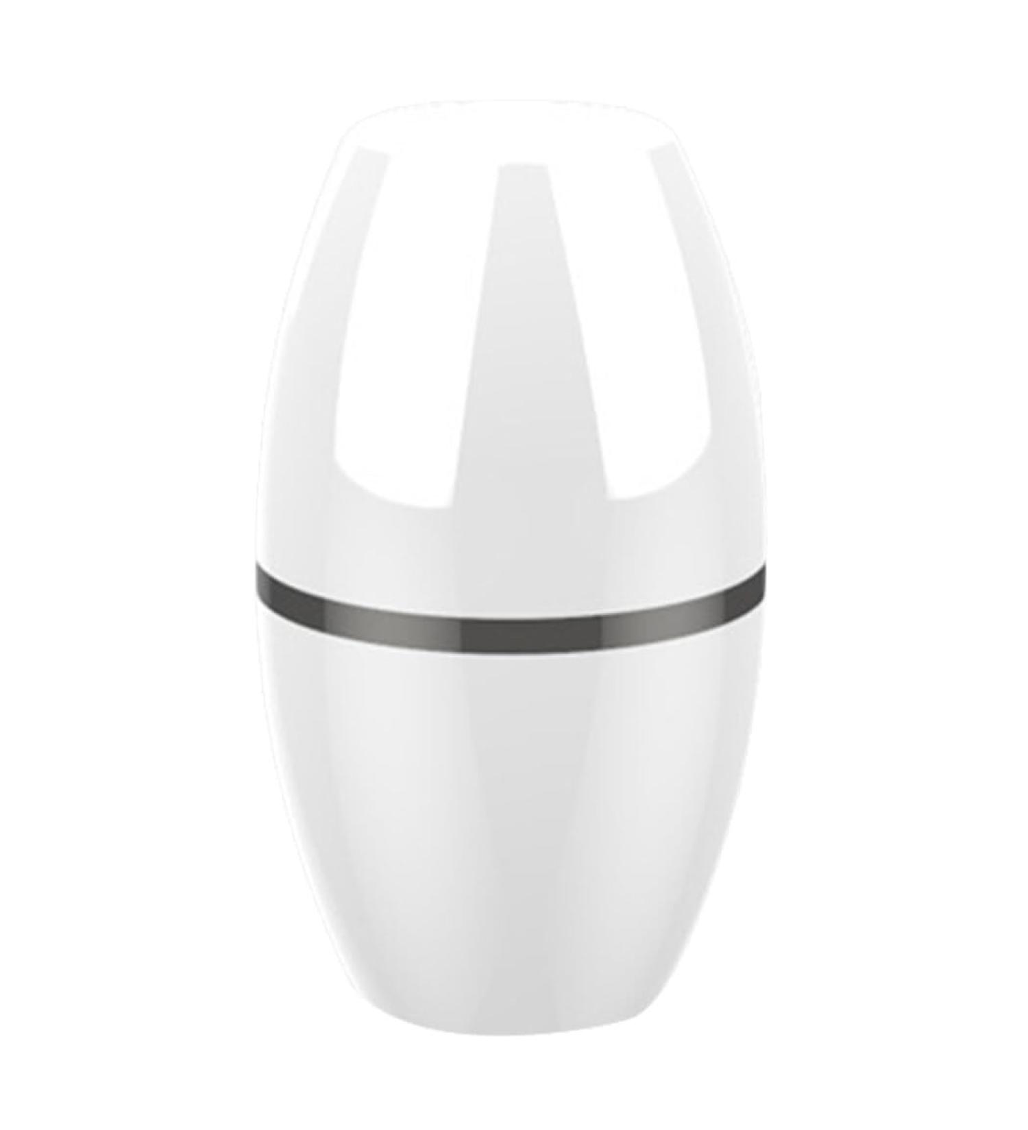 Professional Reusable Volcanic Face Roller Oil Absorber Light Compact and Waterproof Portable Oil Control Roller - Buy Online on GoSupps.com