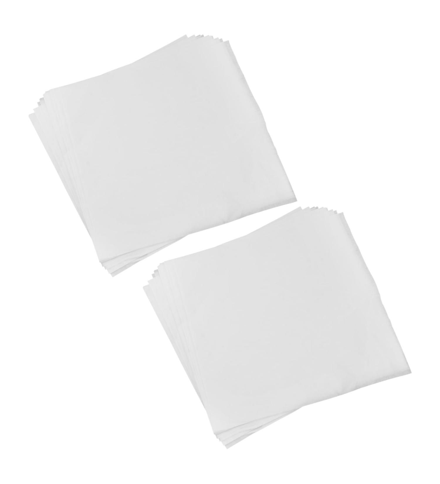 NUOBESTY Chinese Painting Practice Paper 2 Sets 30pcs Rice Paper Chinese Calligraphy Paper Traditional Chinese Painting Pulp As Shown 33.00X33.00X0.10CM - Buy Online on GoSupps.com