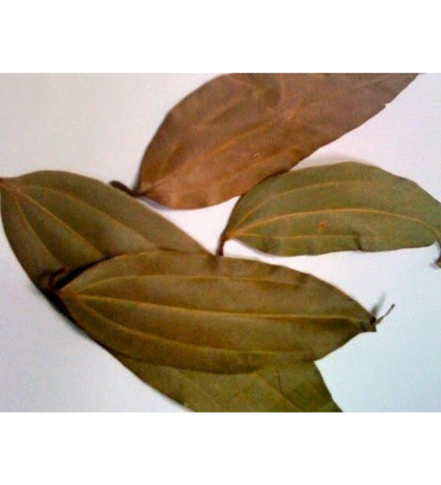 Balsara's 50g | Whole dried bay leaves with 3 veins dried Indian spices Indian herbs dried bay leaves