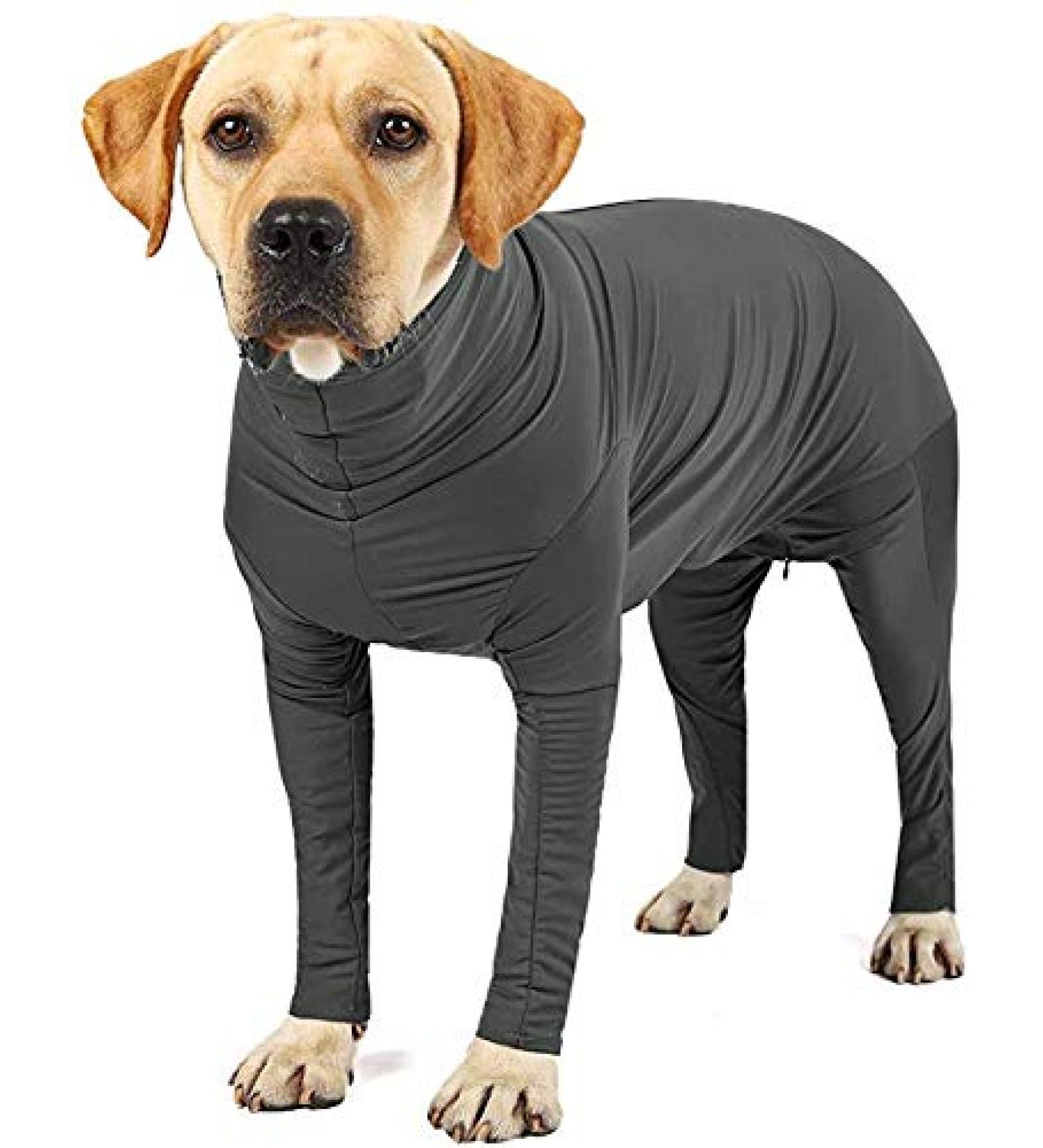 Etdane One-Divider for Dogs | Surgery Recovery Suit Prevents Hair Loss & Anxiety | XXL XXXL Gray Jumpsuit - Buy Online on GoSupps.com