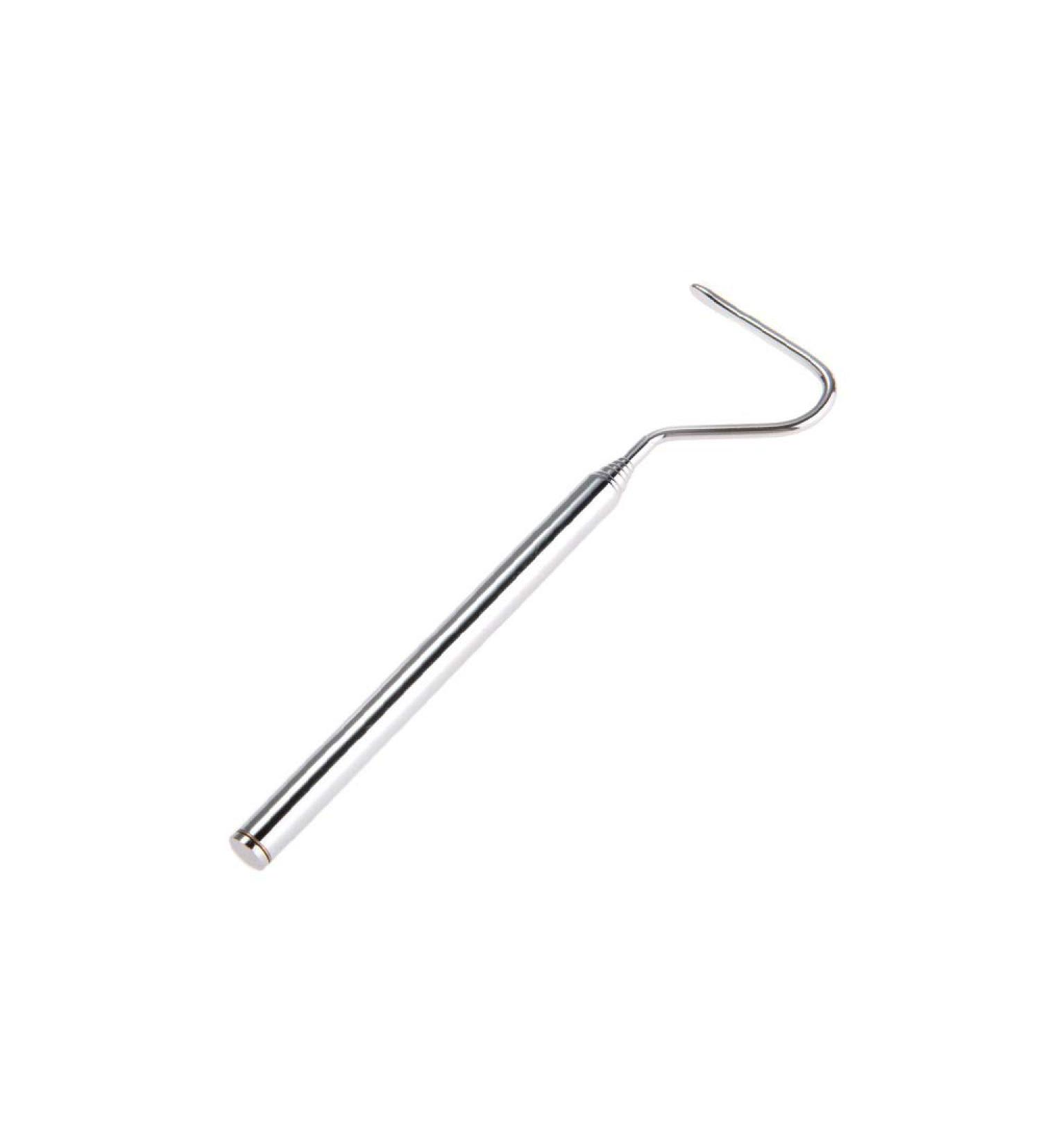 Mini Snake Hook Adjustable Stainless Steel Snake Tongs and Snake & Reptile Hook Retractable Catching Snake Handling Tool (Silver) - Buy Online on GoSupps.com