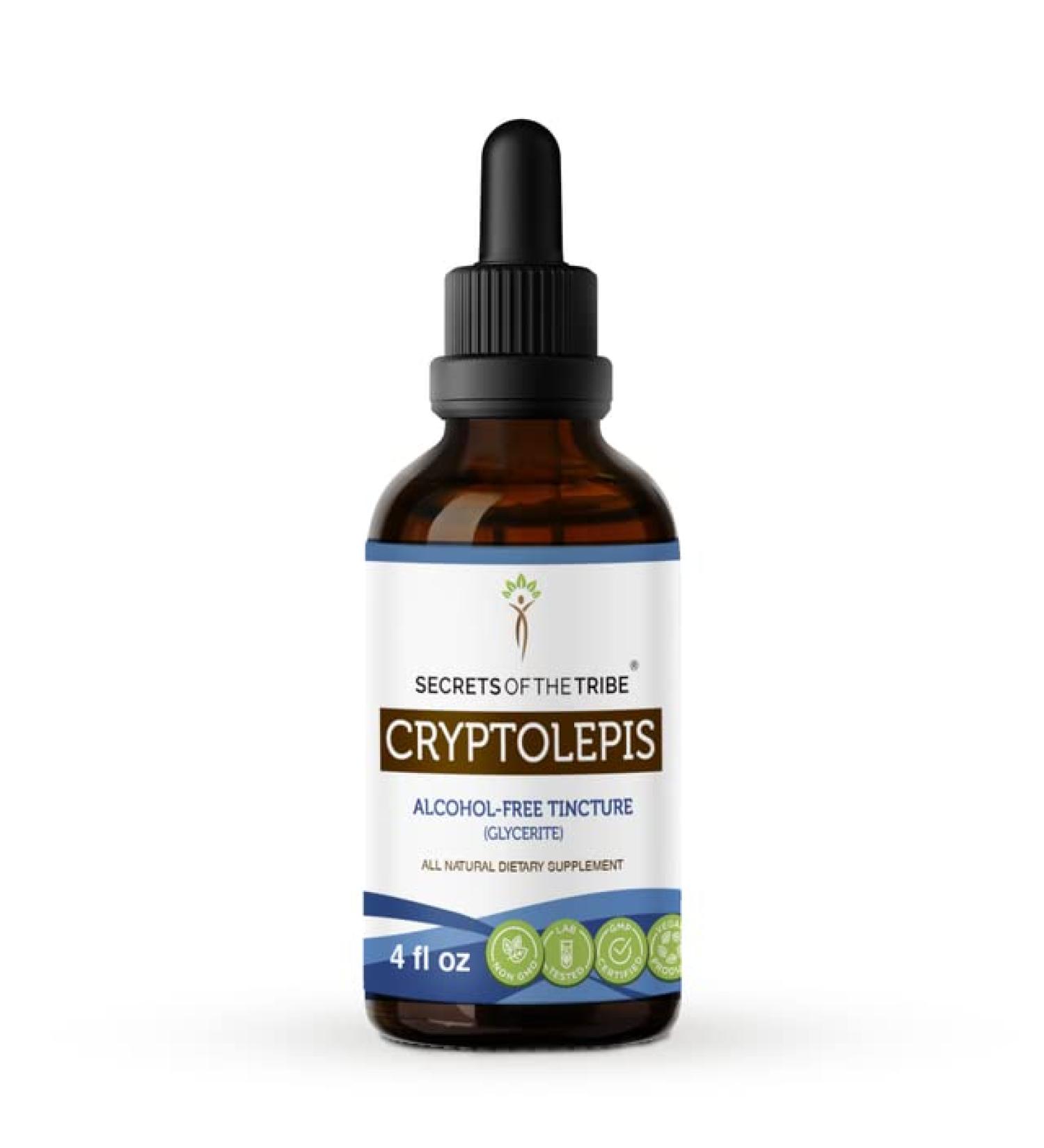 Wildcrafted Cryptolepis Sanguinolenta Tincture - Alcohol-Free High-Potency Herbal Drops for GI System - 4oz - Buy Online on GoSupps.com