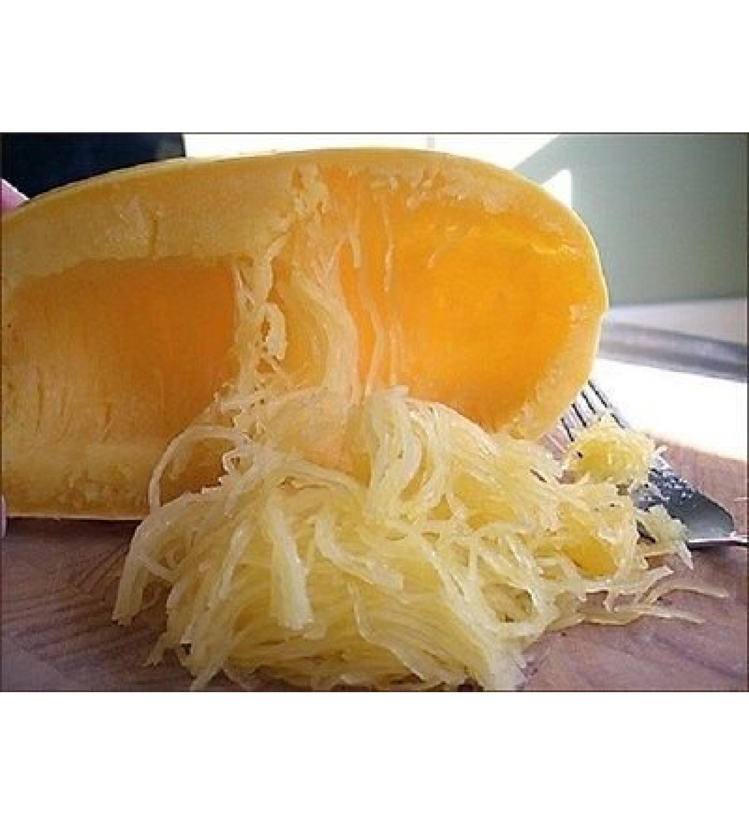 100 semi Spaghetti Squash Zucca invernale 70 giorni