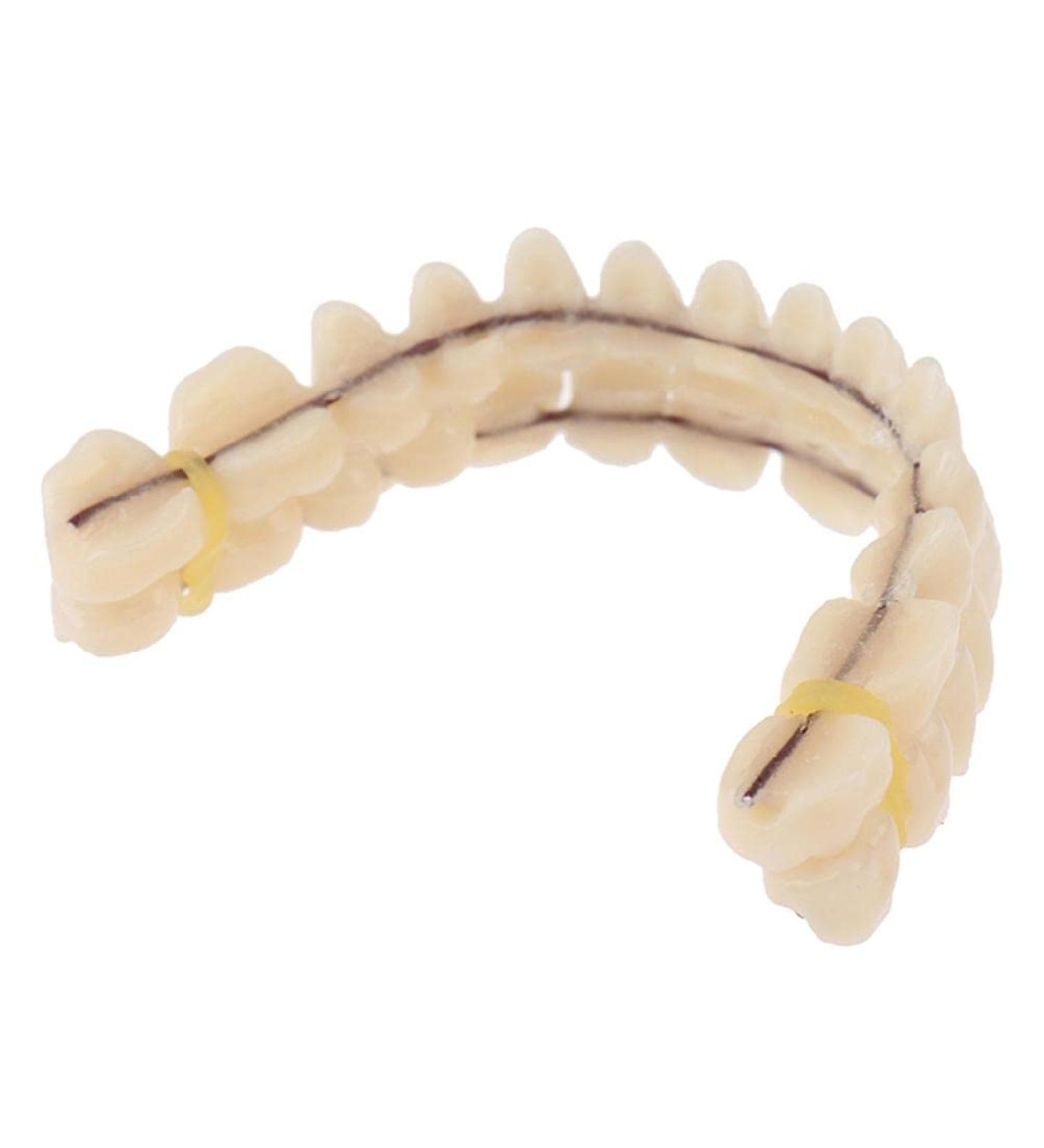 Buy Premium Resin Teeth Dentures - Upper & Lower Shade - Artificial Preformed Dental Care Online - Buy Online on GoSupps.com