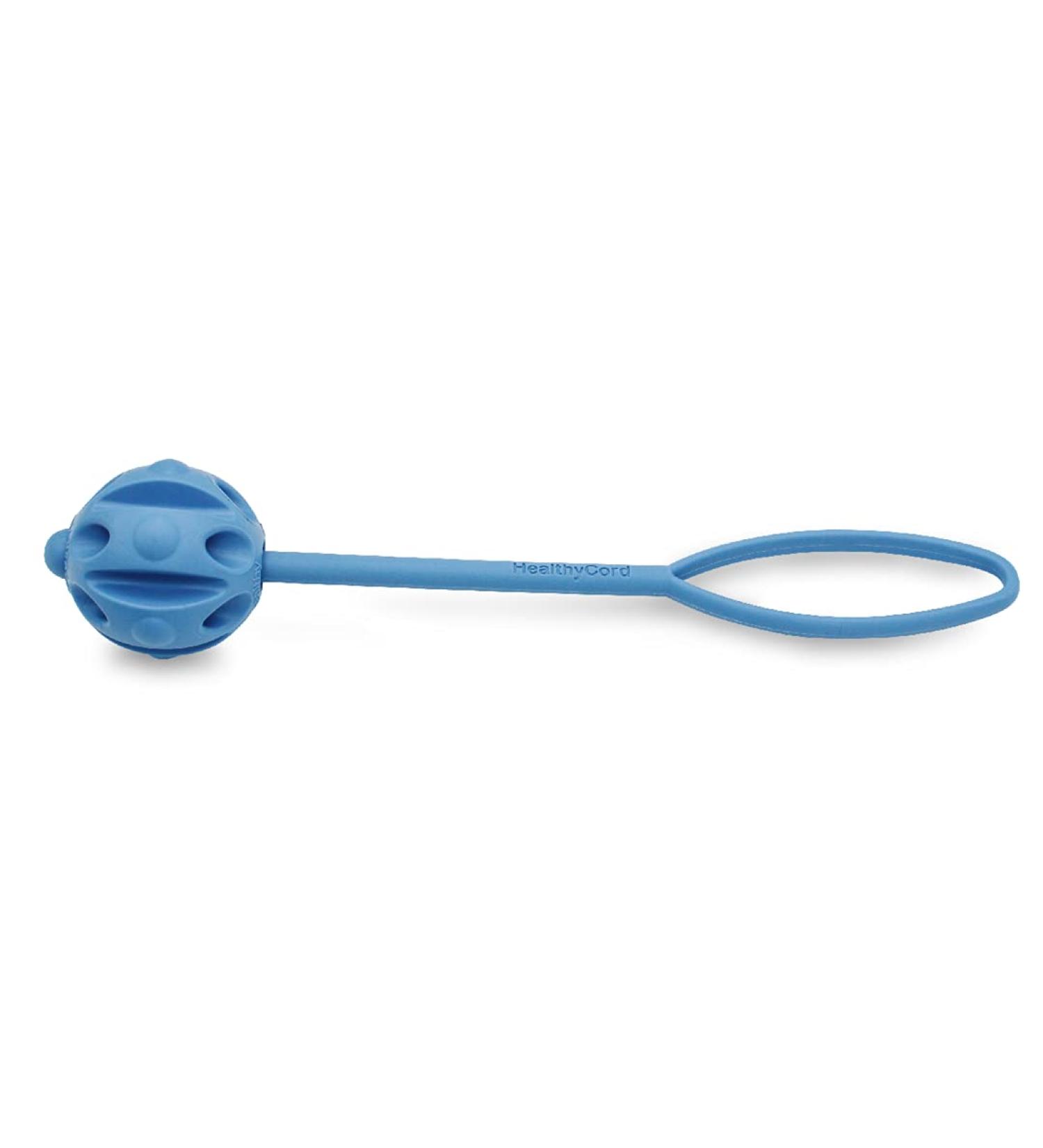 Petp l TPE Rubber Dog Toys: Food-Safe Frisbee Ball & Chewing Bones for Small & Large Dogs - Durable Water-Friendly & Fun - 6.5cm Blue - Buy Online on GoSupps.com