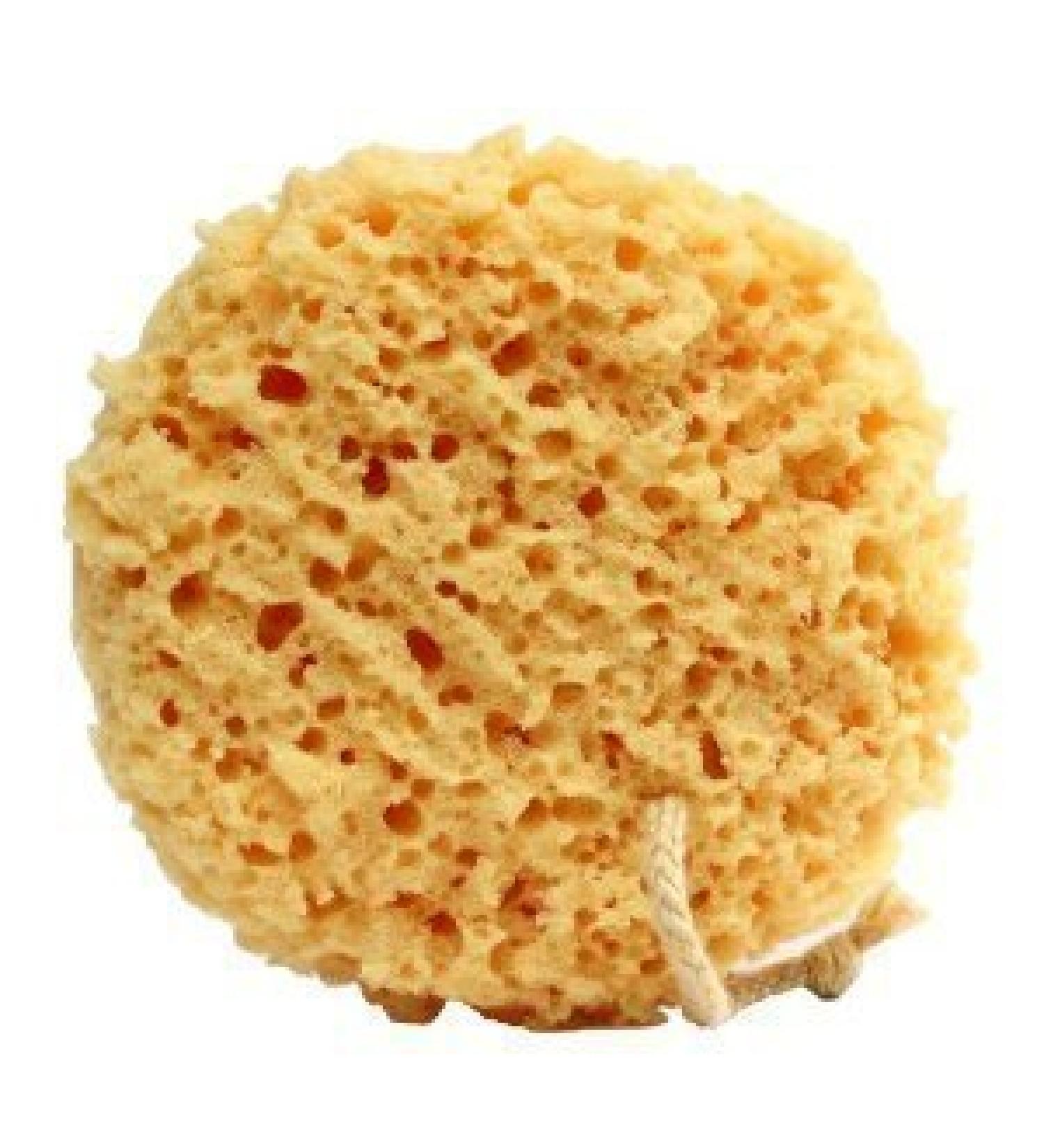 Foam Bath Sponge - 2 COUNT