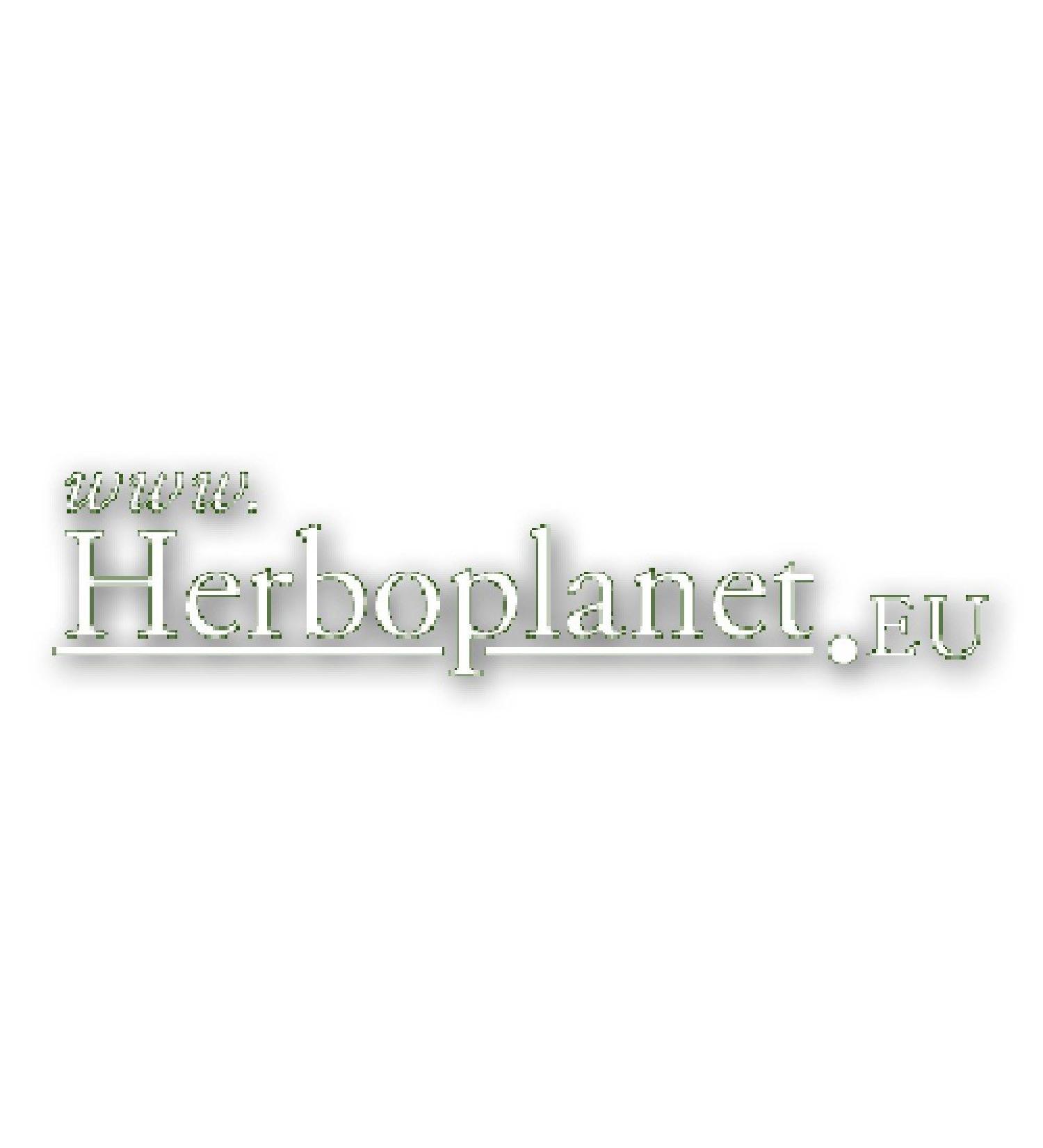 Herboplanet Herboplanet Olea D3 Max Drops 20 ml 1 Unit