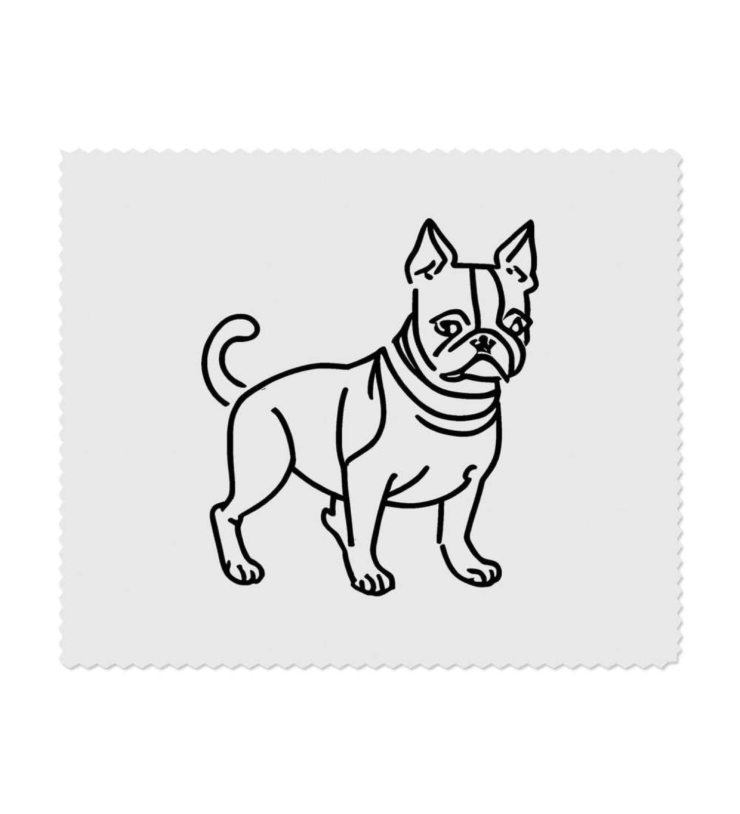 Buy Boston Terrier Dog Microfiber Cleaning Cloths - 2 Pack | International Shipping Available - Buy Online on GoSupps.com