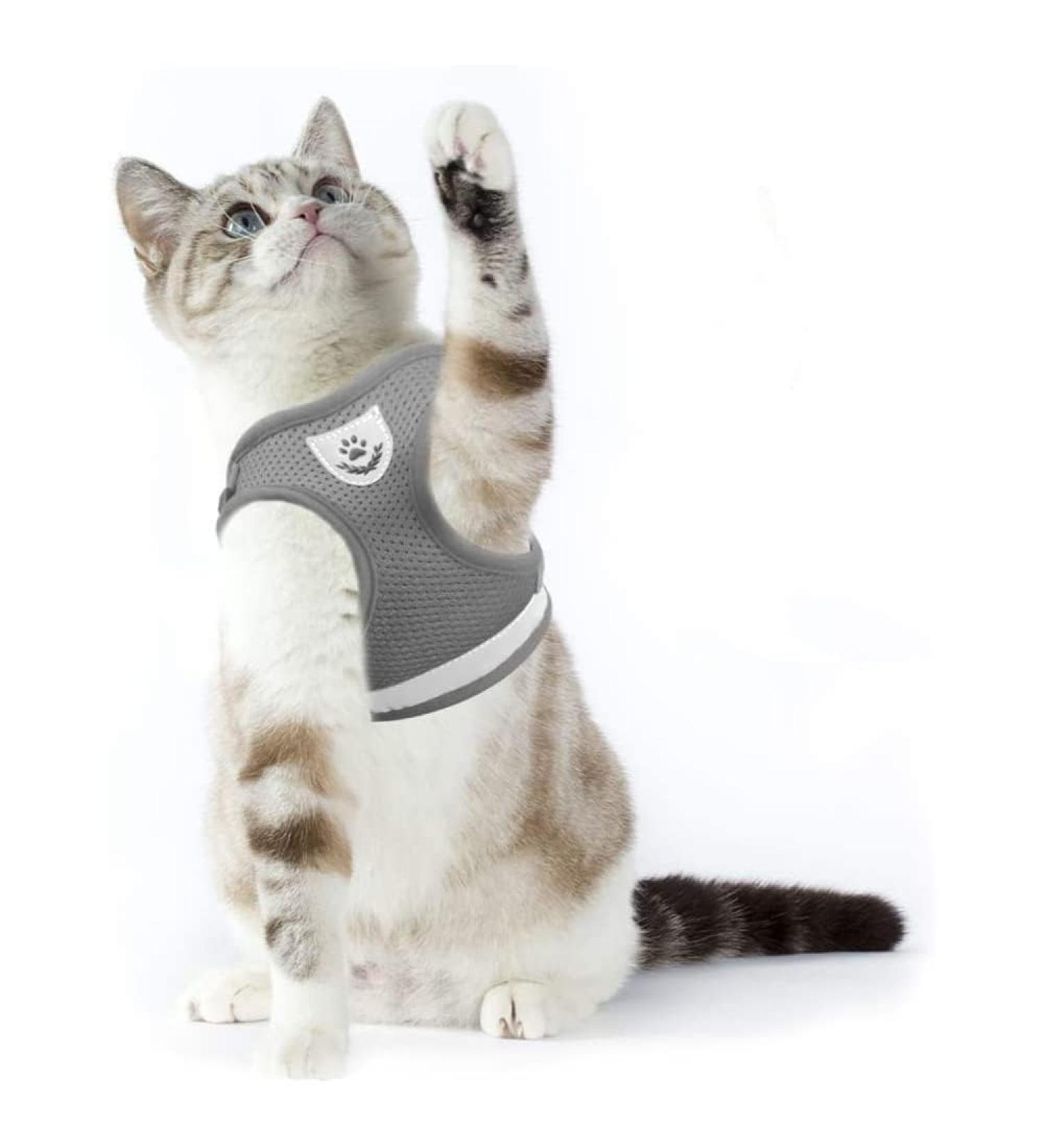 Supet Cat Tableware Dishes & Soft Vest with Leash for Kittens & Puppies - Gray (Size M: 33-38 cm) | International Shipping - Buy Online on GoSupps.com