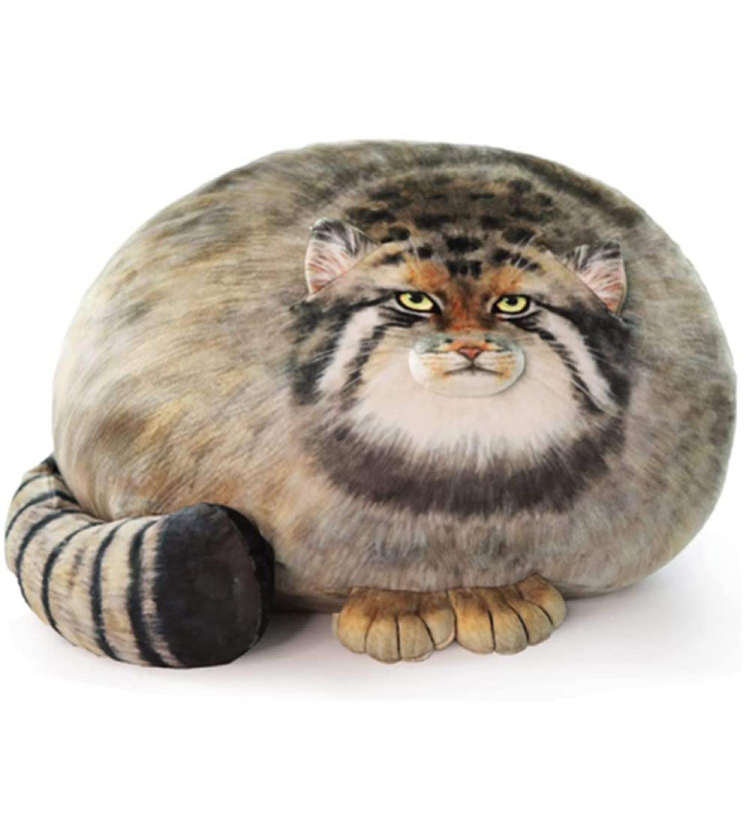 OUKEYI 15.7in/ 40cm Cat Plush Toy Cat Pillow Cute Steppe Cat Stuffed Animals Fat Cat Kawaii Pillow Stuff Kitten Plush Throw Pillow Doll Big Plush Toys Gift for Girls Boys Girlfriend - Buy Online on GoSupps.com