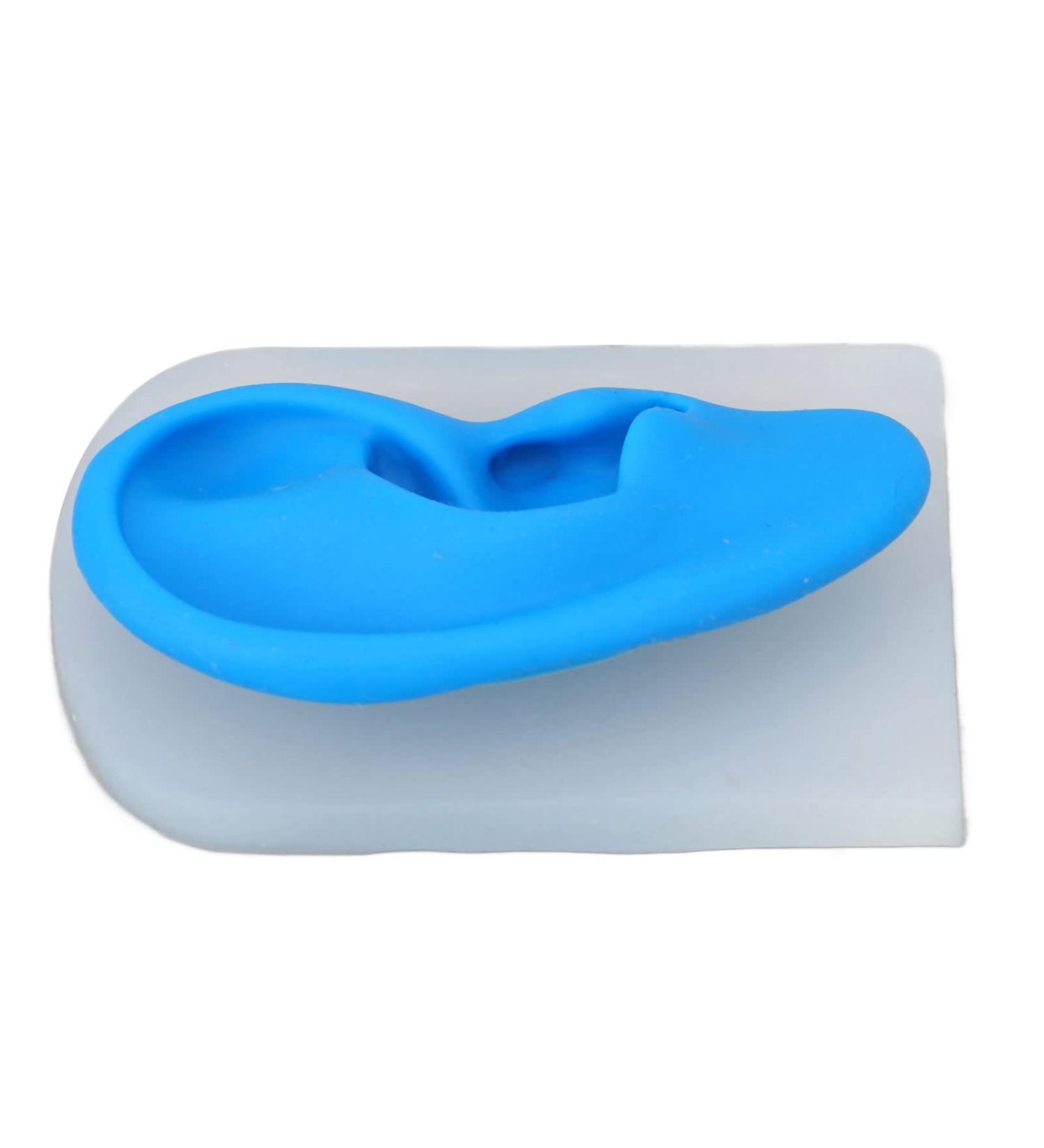 Buy Gernie Ear Model Accessories - Realistic Human Ear Displays for Anatomy & Hearing Enhancement - Buy Online on GoSupps.com