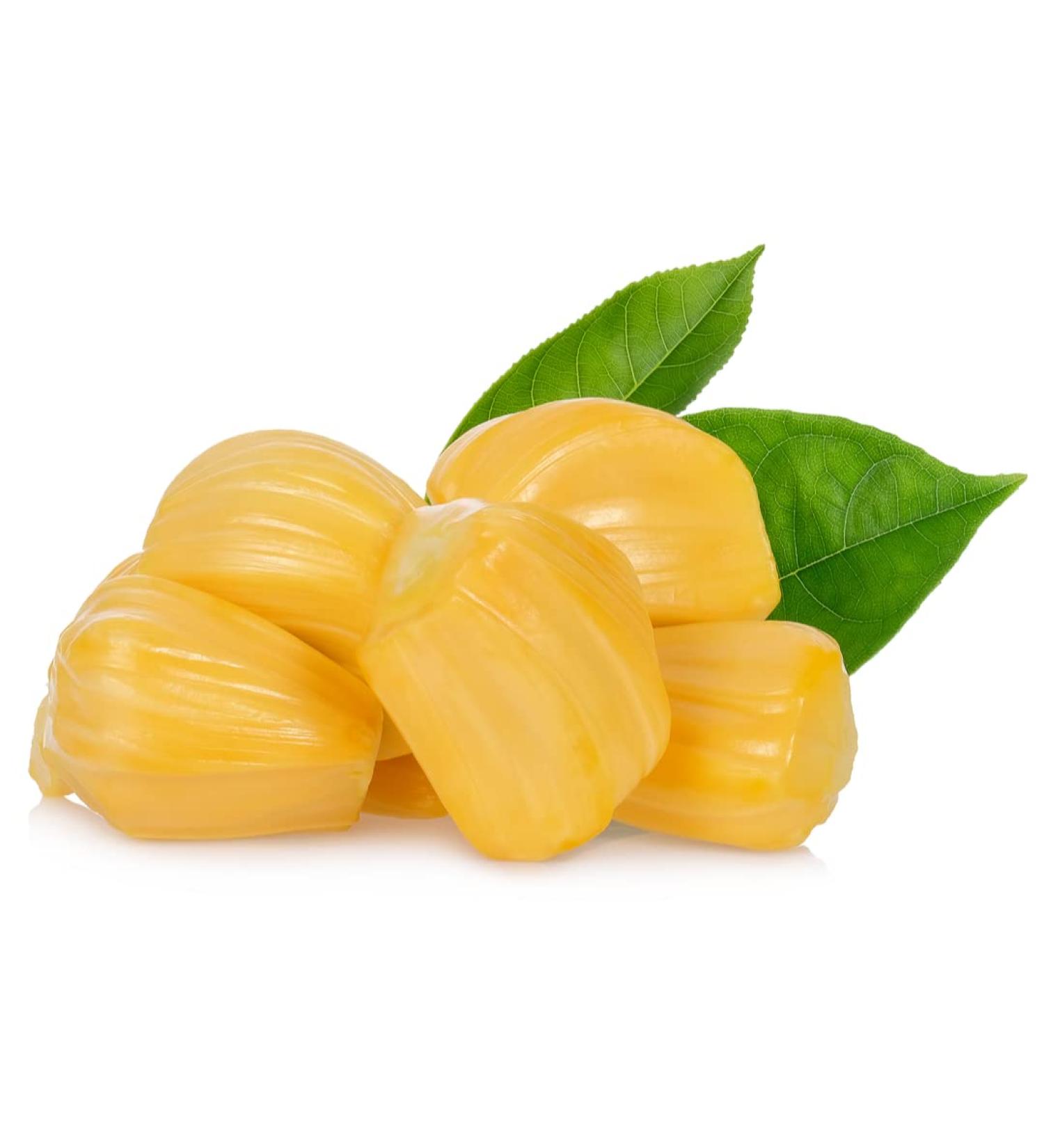 Peeled Jackfruit 500gr x 2 pack