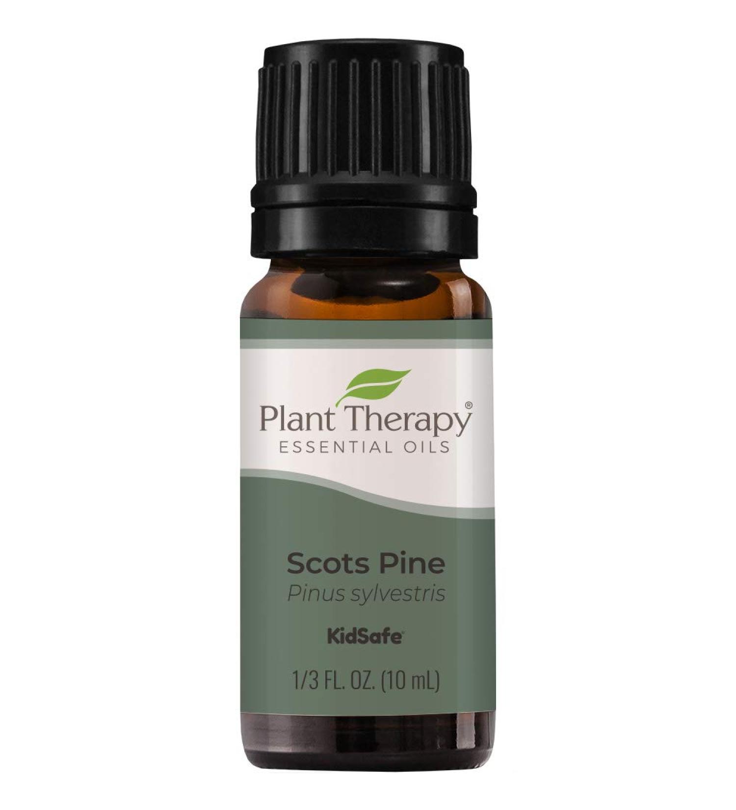 Buy Plant Therapy Scots Pine Essential Oil 10 mL - 100% Pure Undiluted Therapeutic Grade for Aromatherapy & Wellness | International Shipping Available - Buy Online on GoSupps.com
