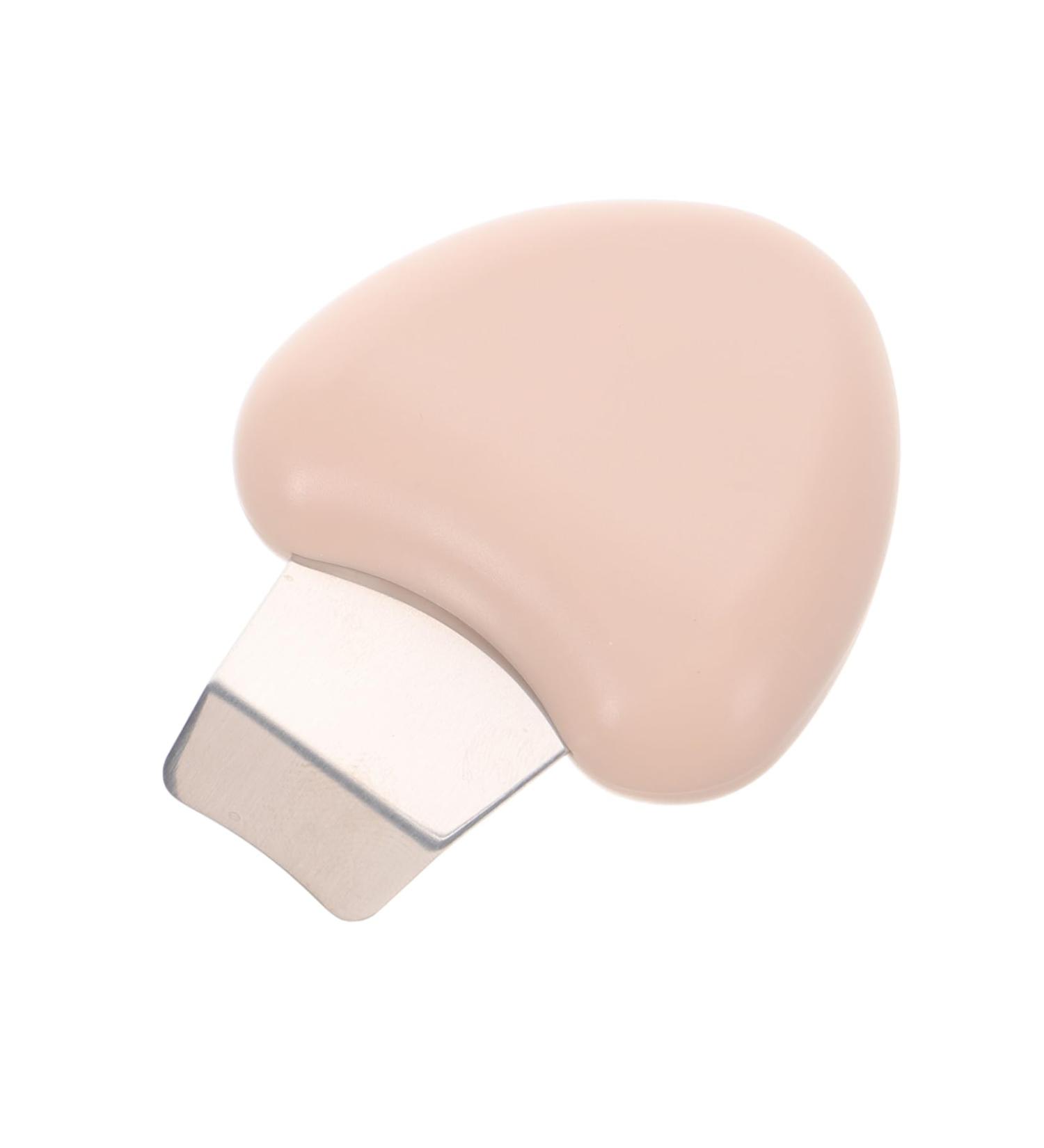 FOMIYES Face Pimple Removal Tool Metal Pimple Extractor Pimple Remover Facial Pimple Remover - Buy Online on GoSupps.com