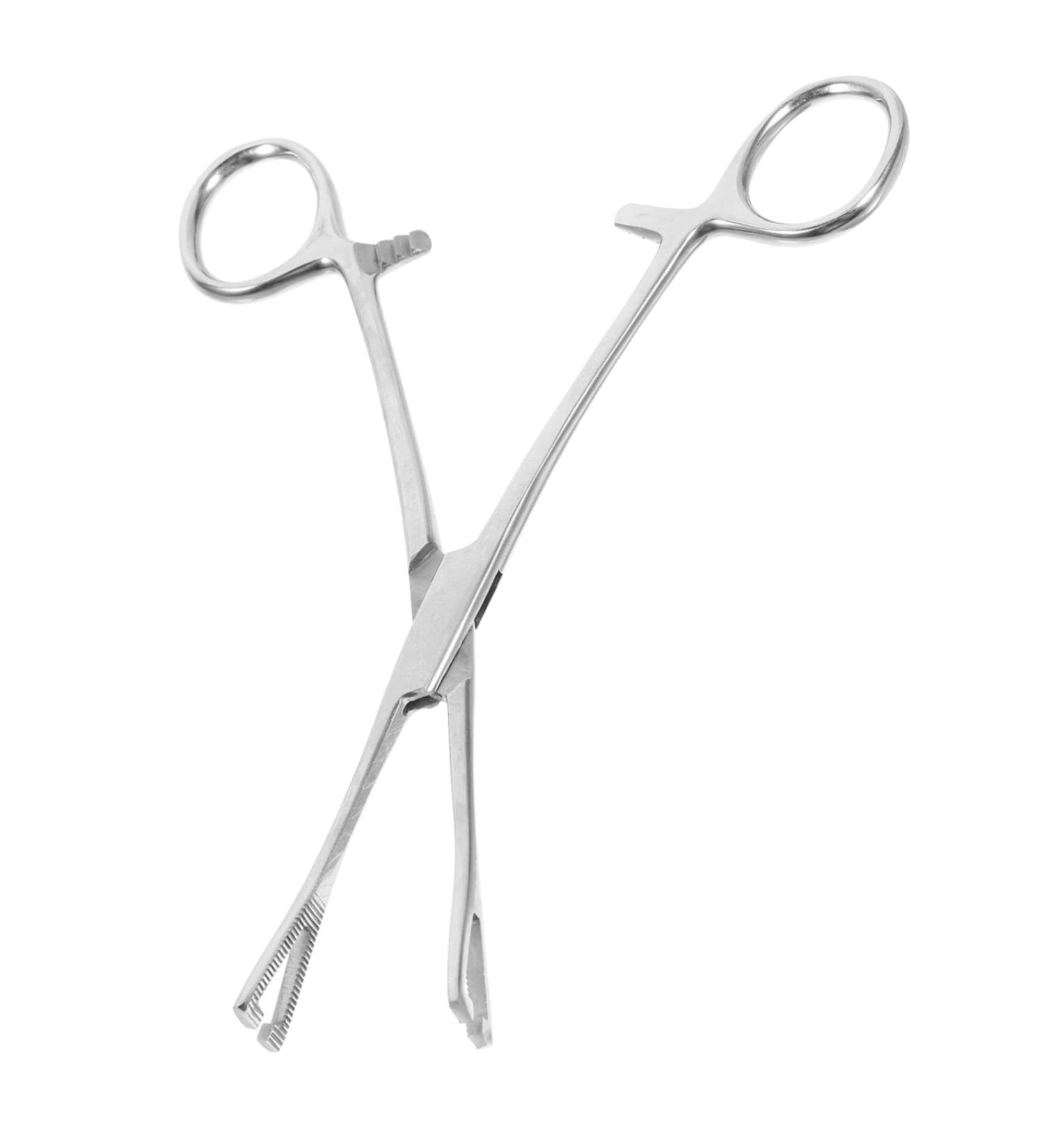 BESPORTBLE Reptile Feeding Clip Cricket Feeder Aquarium Tongs Extra Long Stainless Steel Silver - Buy Online on GoSupps.com