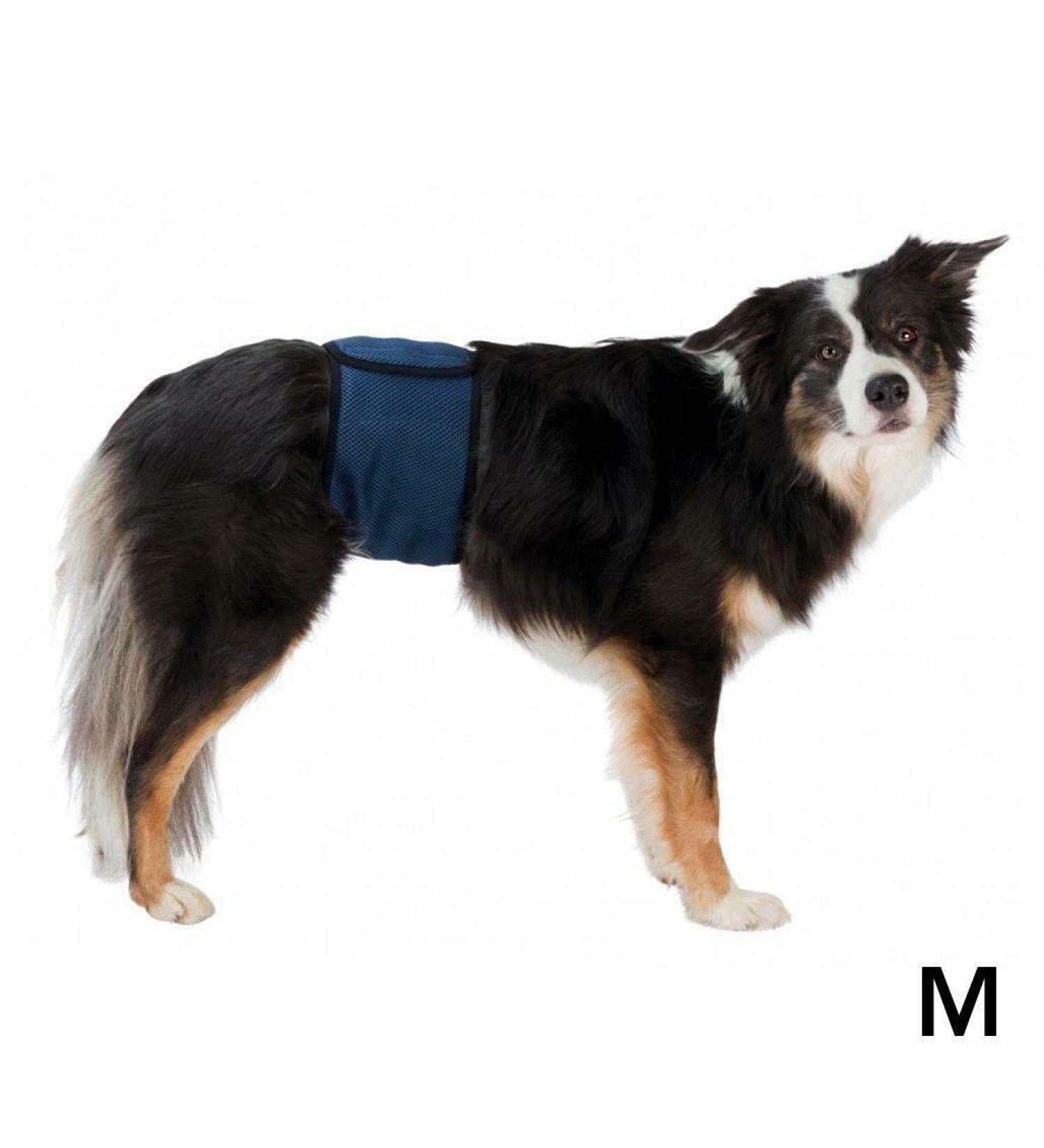 Trixie Belly Band for Male Dogs 45-55 cm | Dark Blue | Comfortable & Secure Dog Diaper | Ideal for Training & Travel - Buy Online on GoSupps.com