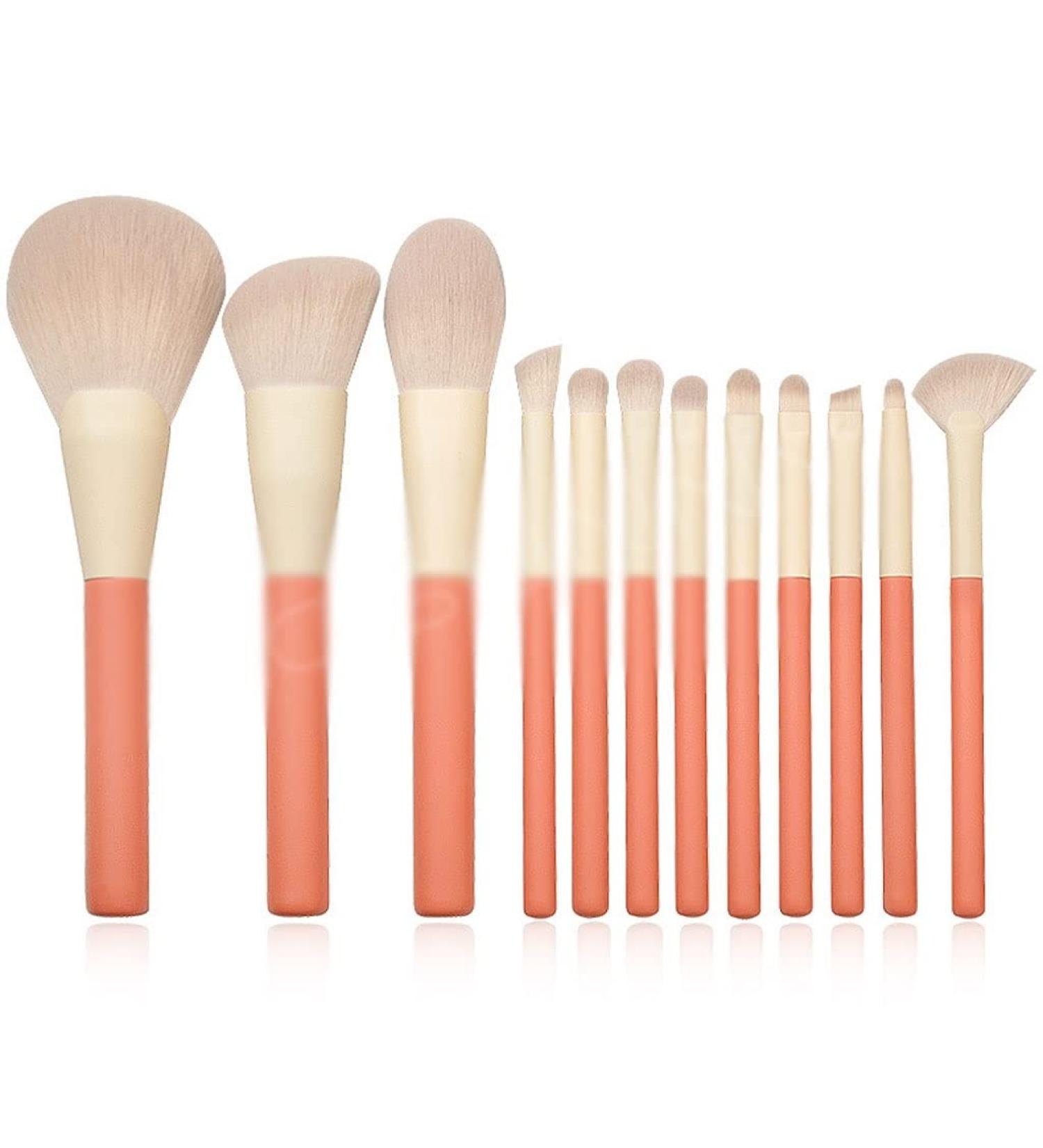 12 Piece Wood Handle Makeup Brush Set - Perfect for Concealer Eye Shadow Blush & Powder | International Shipping Available - Buy Online on GoSupps.com