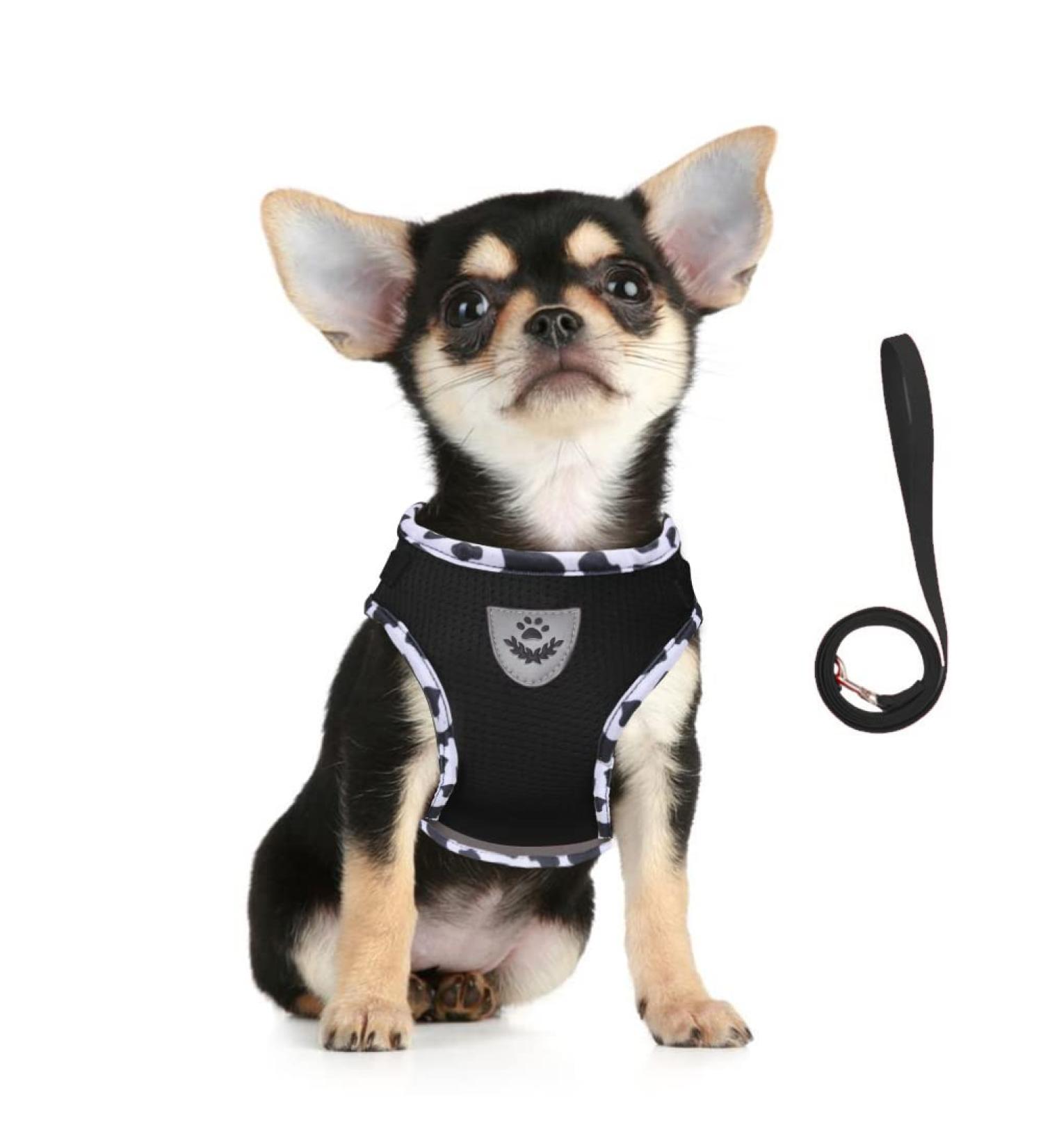 Femax Dog Harness & Linen Set for Dogs - Soft Mesh Padded Reflective Adjustable & Breathable - Perfect for Walking Running & Training - Fits Breast 30-34 cm - Cows Black - Buy Online on GoSupps.com