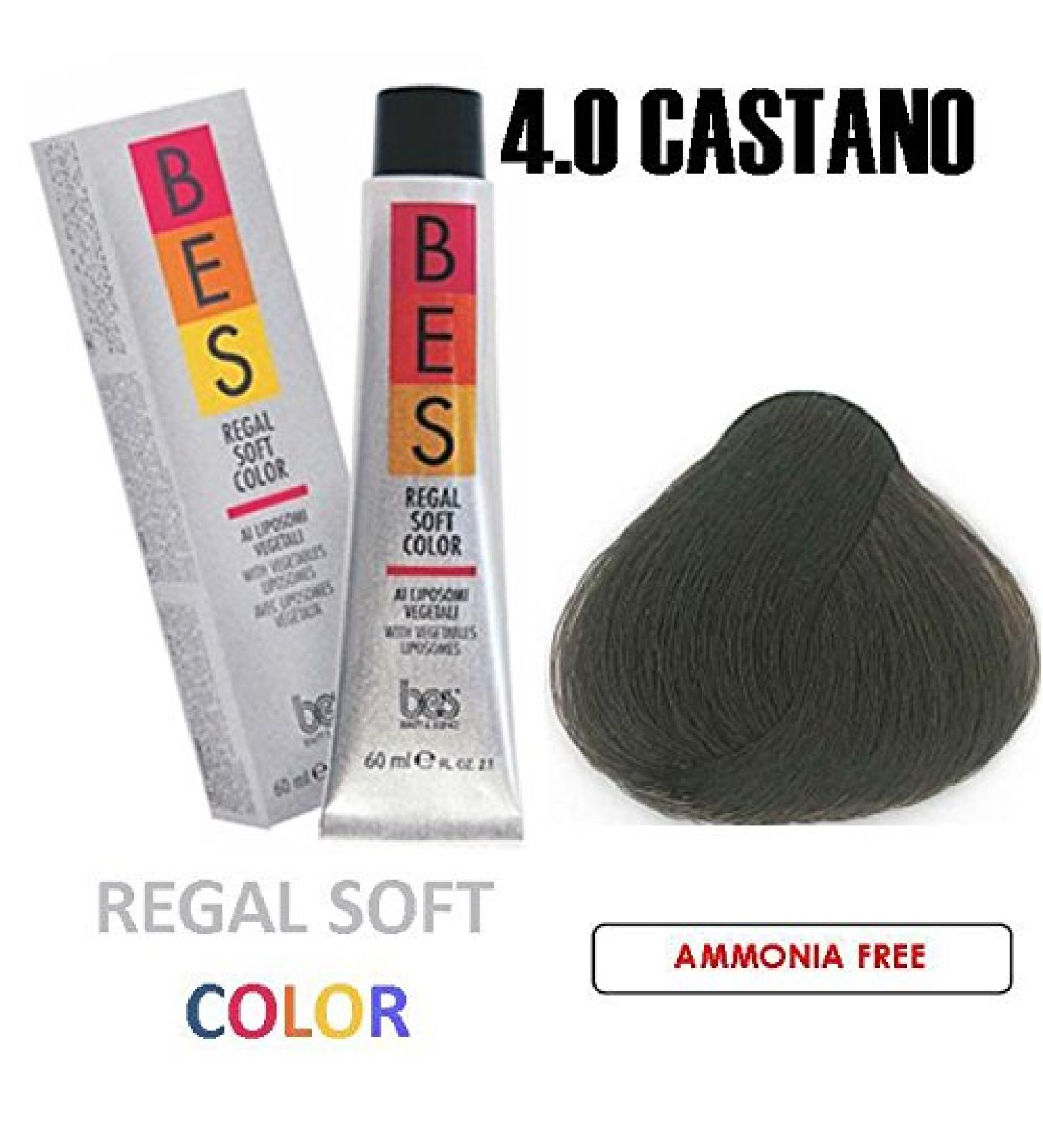 BES REGAL SOFT HAIR COLOR 2.1 OZ/60 ML 4.0 BROWN