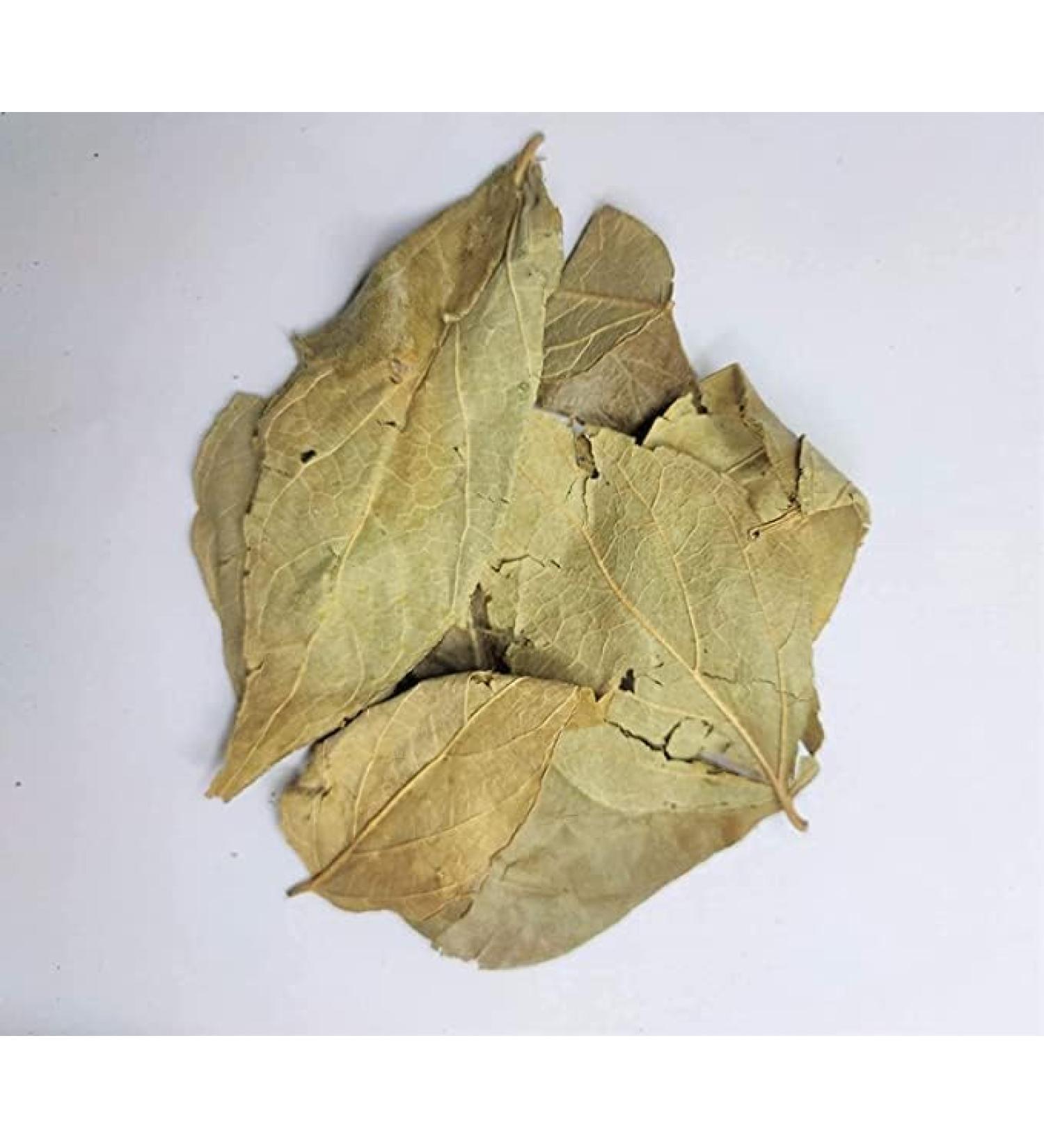 Parijatak Pan - Harshringar Patta - Paarijaat Leaf - Parijat Leaves - - Harshingar Patta - Nyctanthes Arbor-Tristis (100Gms)