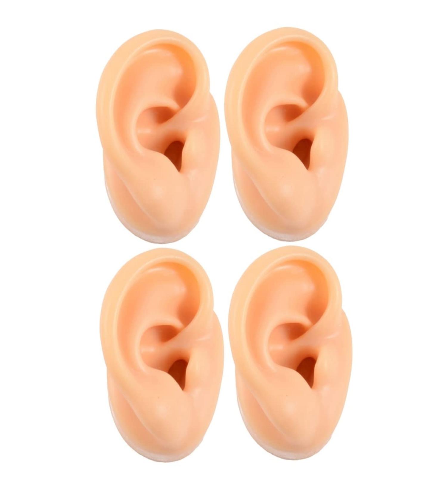 Healeved 4 Pcs Silicone Ear Model Ornament Earrings - Teaching Supplies Anatomy Model - Fake Ear Piercing & Massage Tool - Buy Online on GoSupps.com