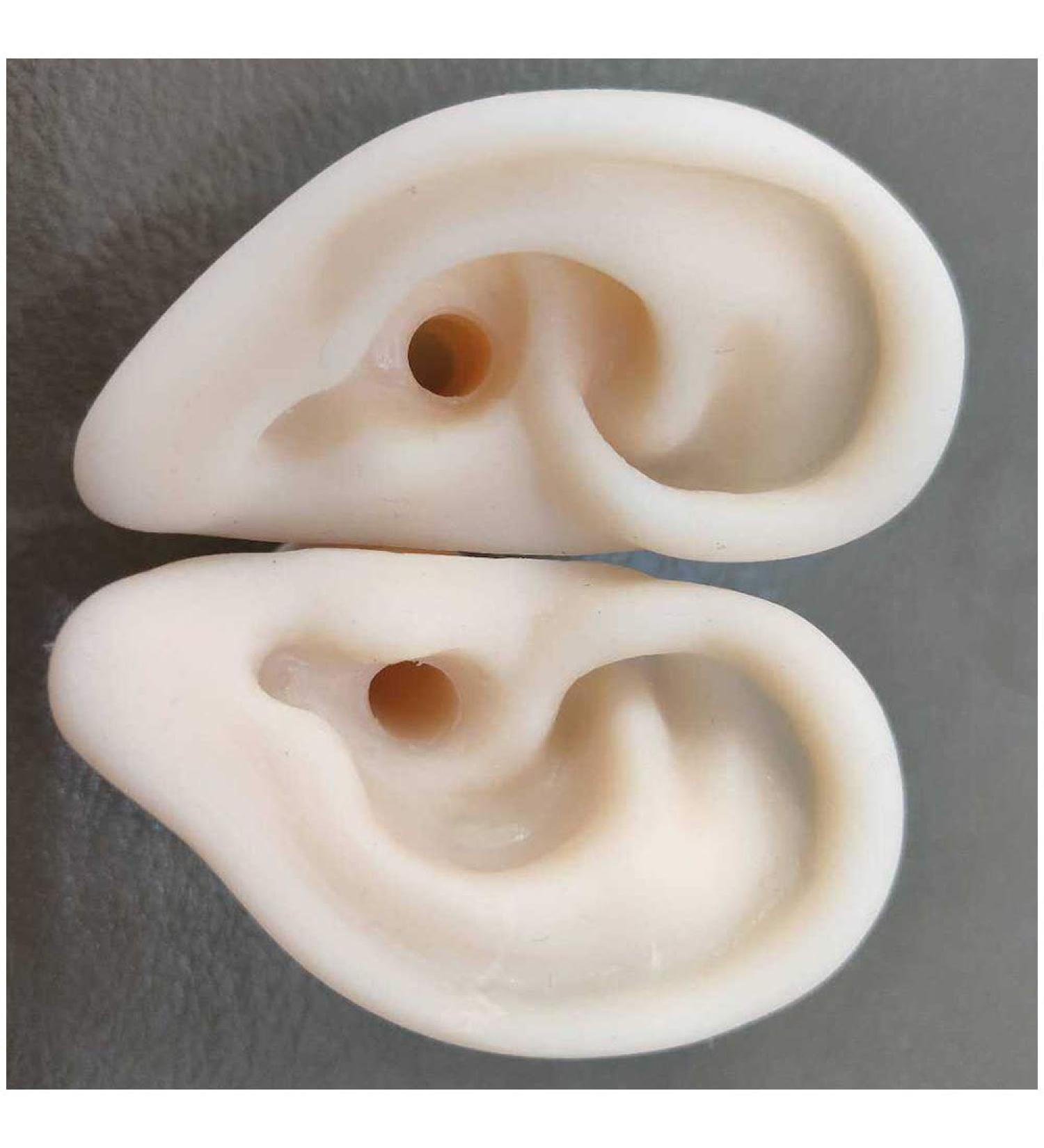 Simulation Ear Model for Ear Picking Teaching - Soft Silicone Ear Model for Acupuncture Ear Picking Practice for Trainees - Buy Online on GoSupps.com