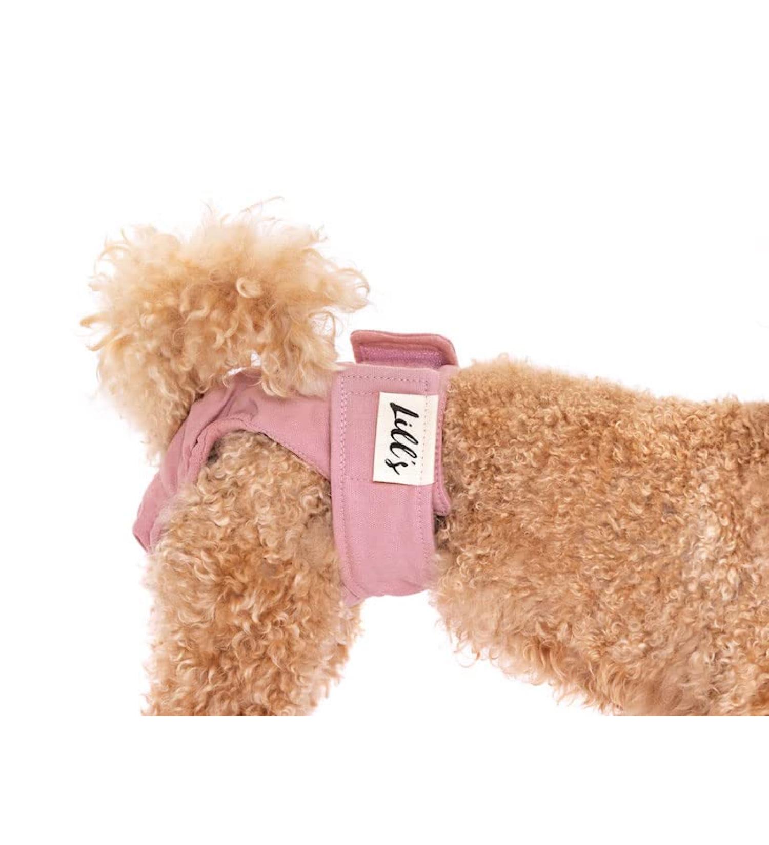 Shop Lills Fuse Pants for Bitches - Organic Cotton Washable Extra Absorbent Flexible Closure | XS to XXL - Pink Berry (33-45cm Waist) - Buy Online on GoSupps.com