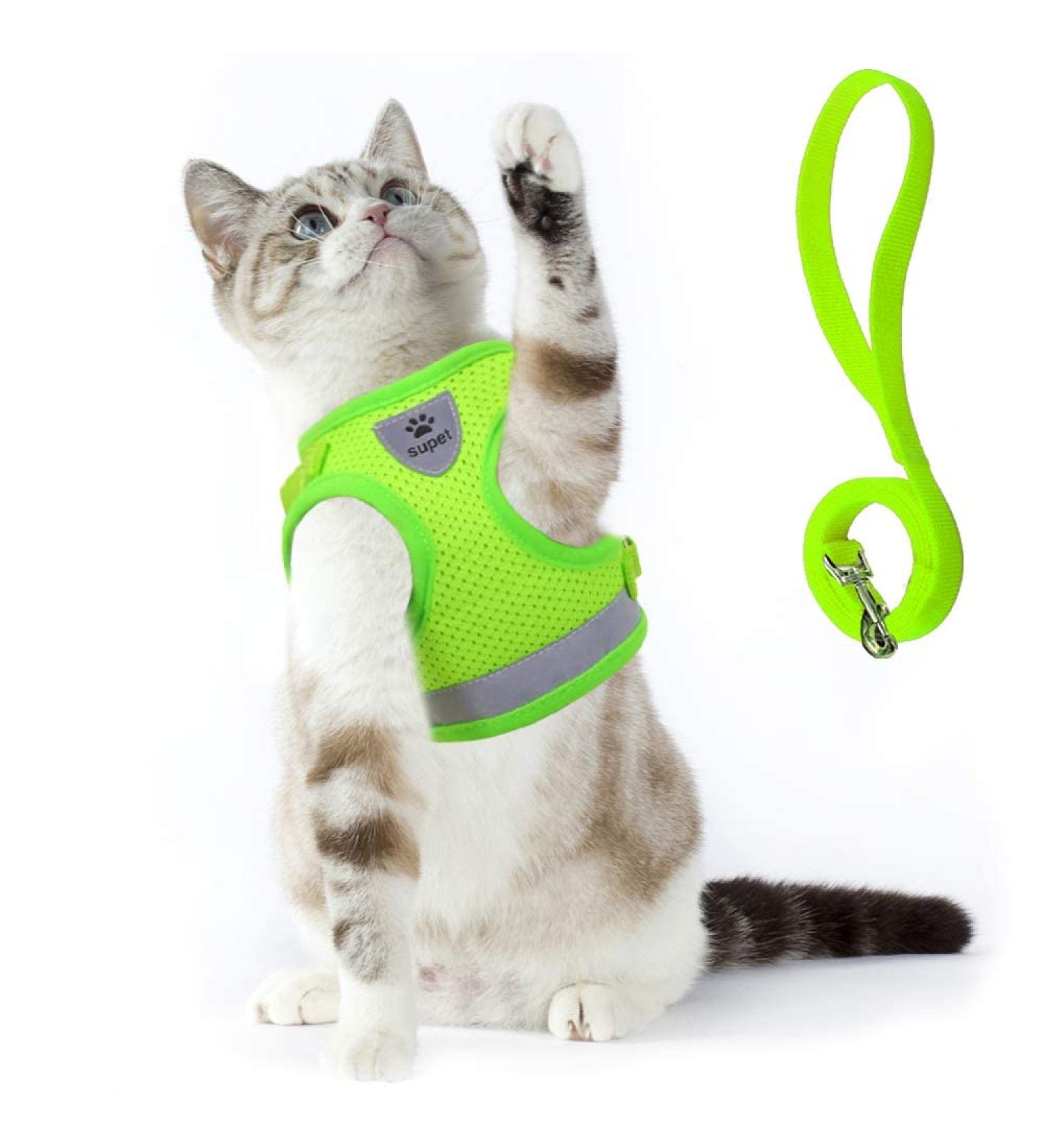 Buy Supet Cat Dishes & Leash Set | Soft Cat Vest for Kittens & Dogs | International Shipping Available - Buy Online on GoSupps.com