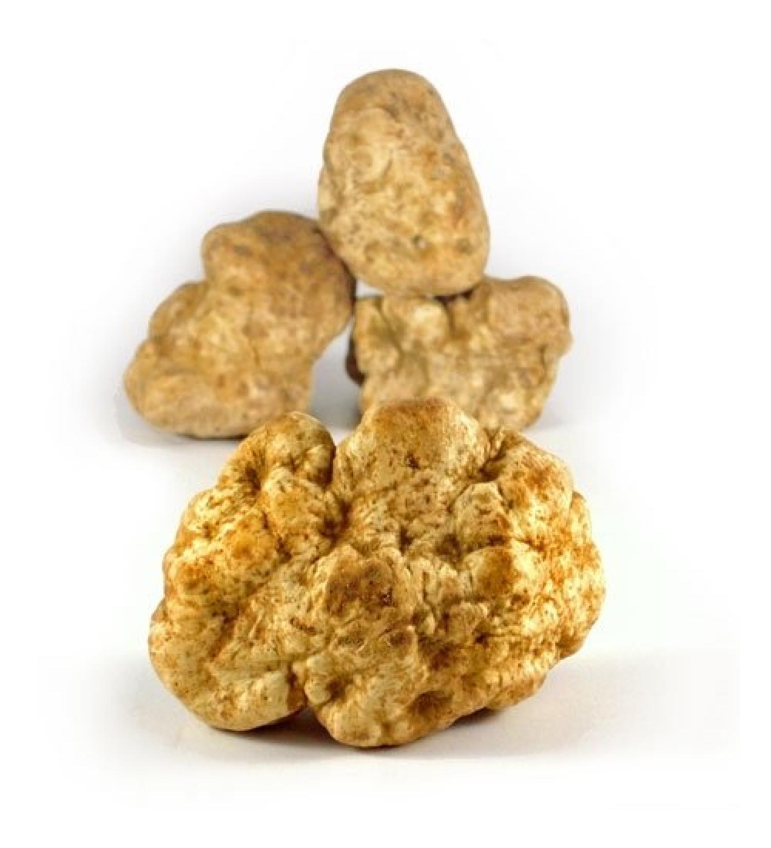 Fresh Italian White Winter Truffles from Alba Italy