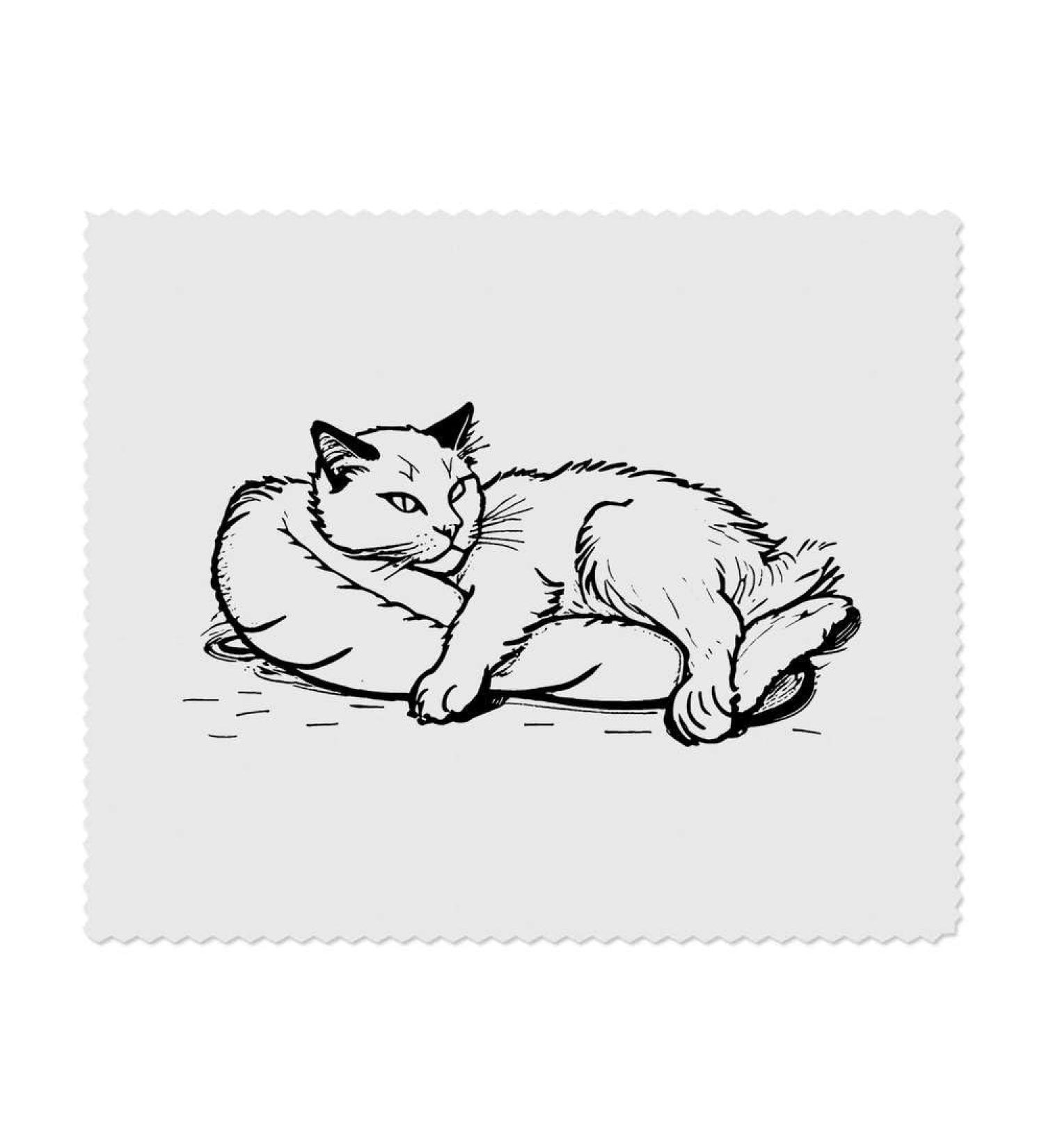 Buy 2 x Persian Cat Microfiber Cleaning Cloths - Super Soft & Effective | International Shipping Available - Buy Online on GoSupps.com
