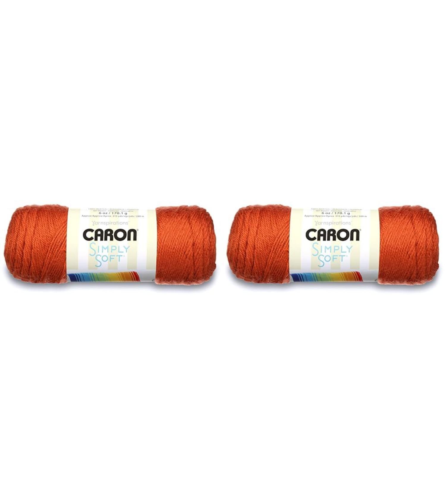 Caron Simply Soft Pumpkin 170.1g (Pack of 2) - Buy Online on GoSupps.com