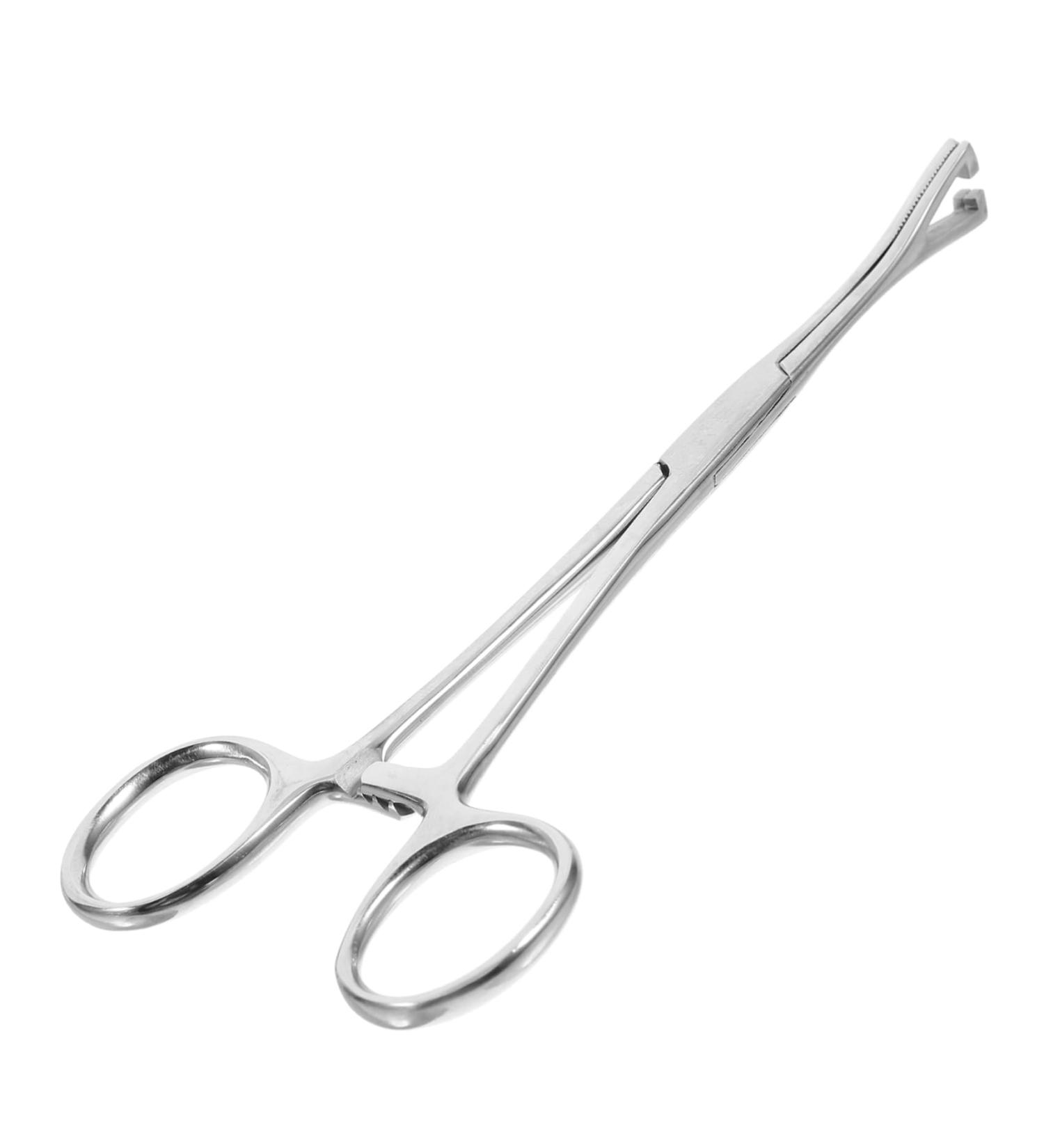 Mipcase Reptile Feeding Clip Leopard Gecko Supplies Reptile Catching Stainless Steel Silver - Buy Online on GoSupps.com