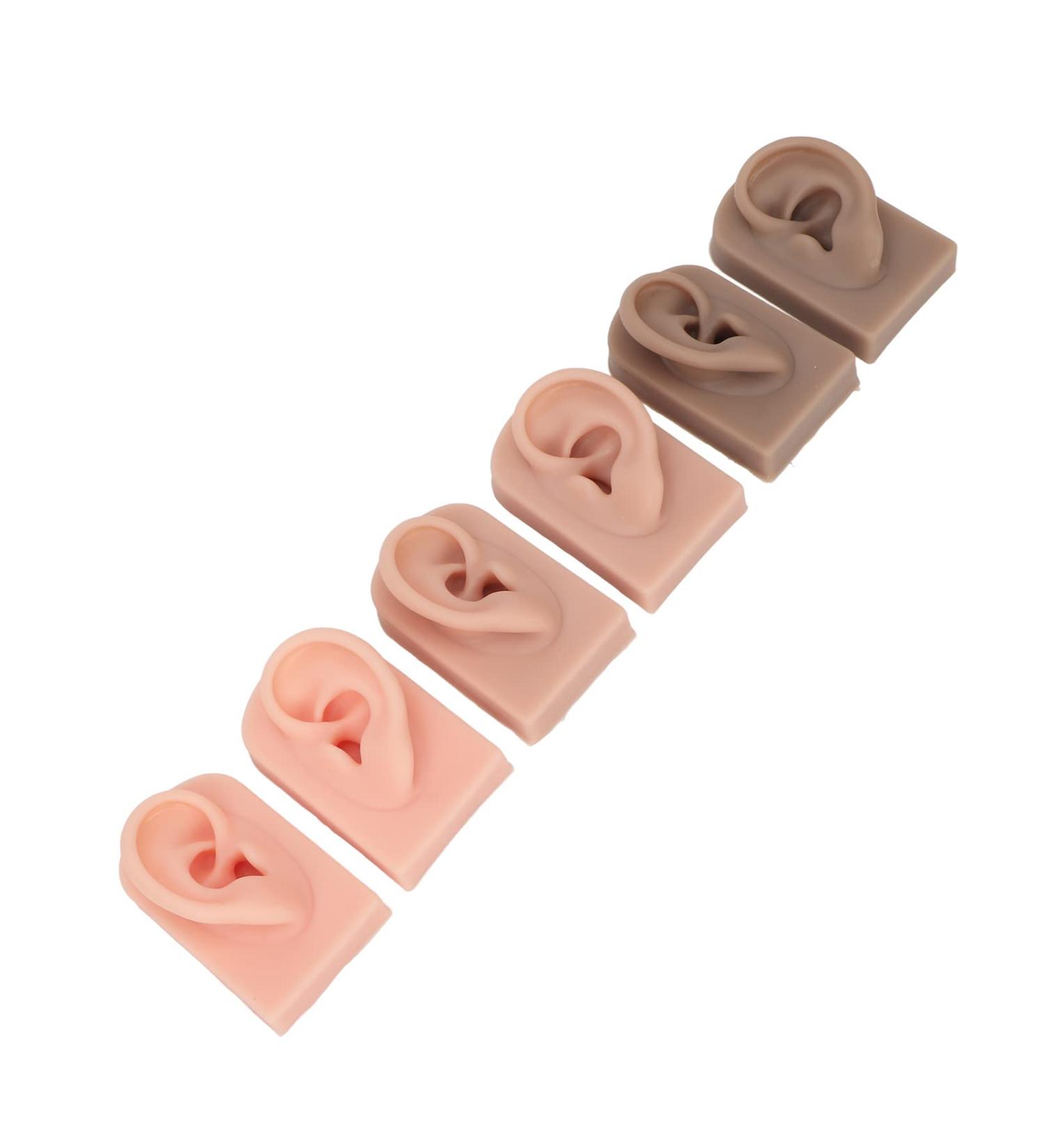 Silicone Ear Model - Soft Flexible Ear Display Mold in 3 Colors | 3 Pairs Simulation for Beauty Salons - Buy Online on GoSupps.com