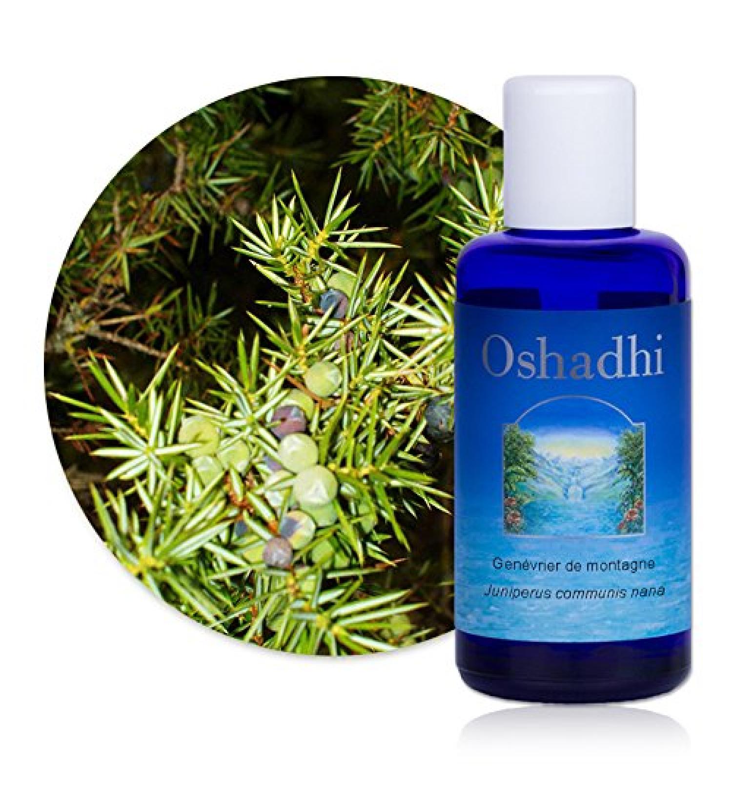 Hydrosol (Floral water): Organic mountain juniper - Juniperus communis nana - 100 ml