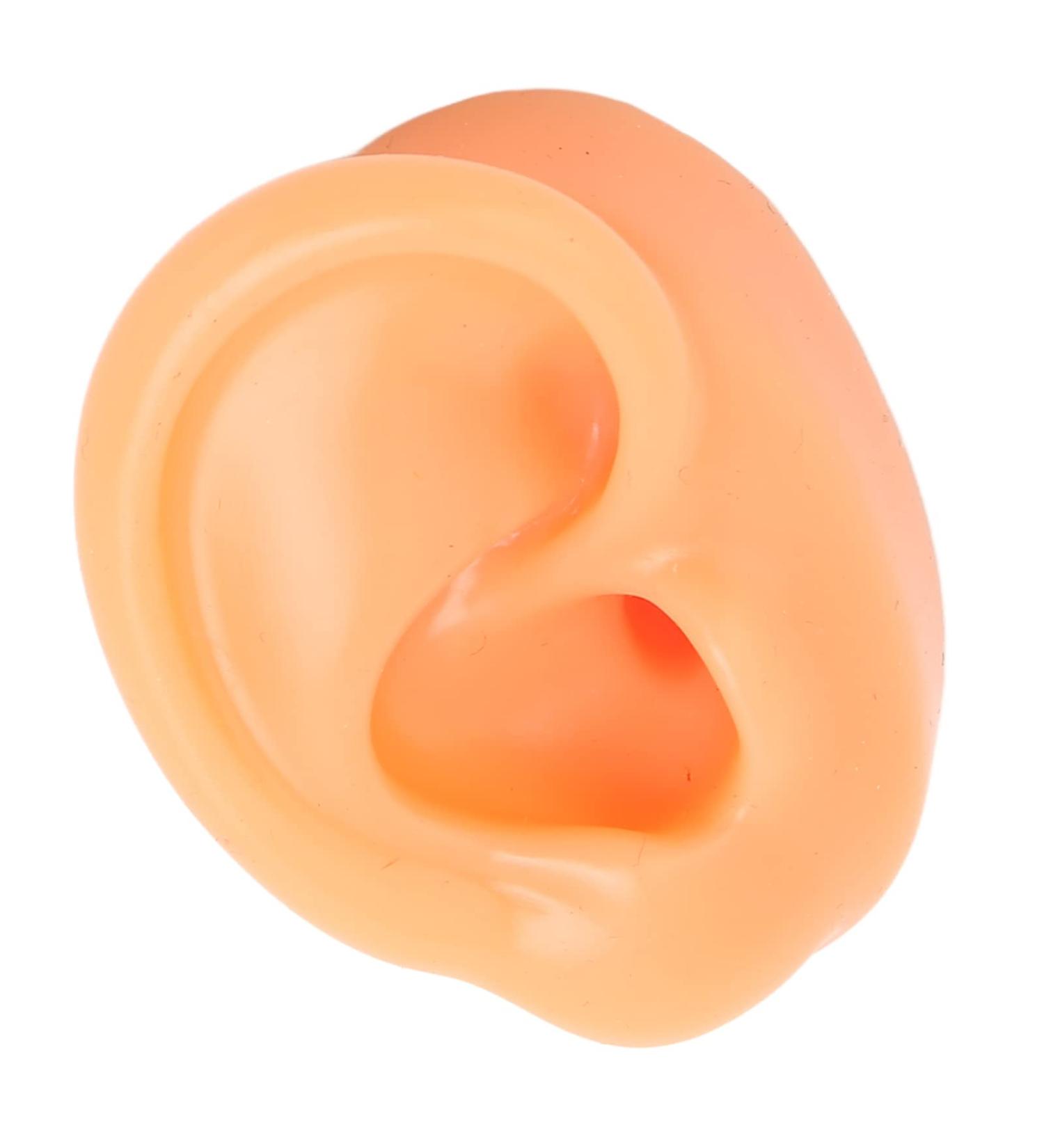 Silicone Fake Acupuncture Ear Model - Waterproof & Flexible for Earrings Display (Right) - Buy Online on GoSupps.com